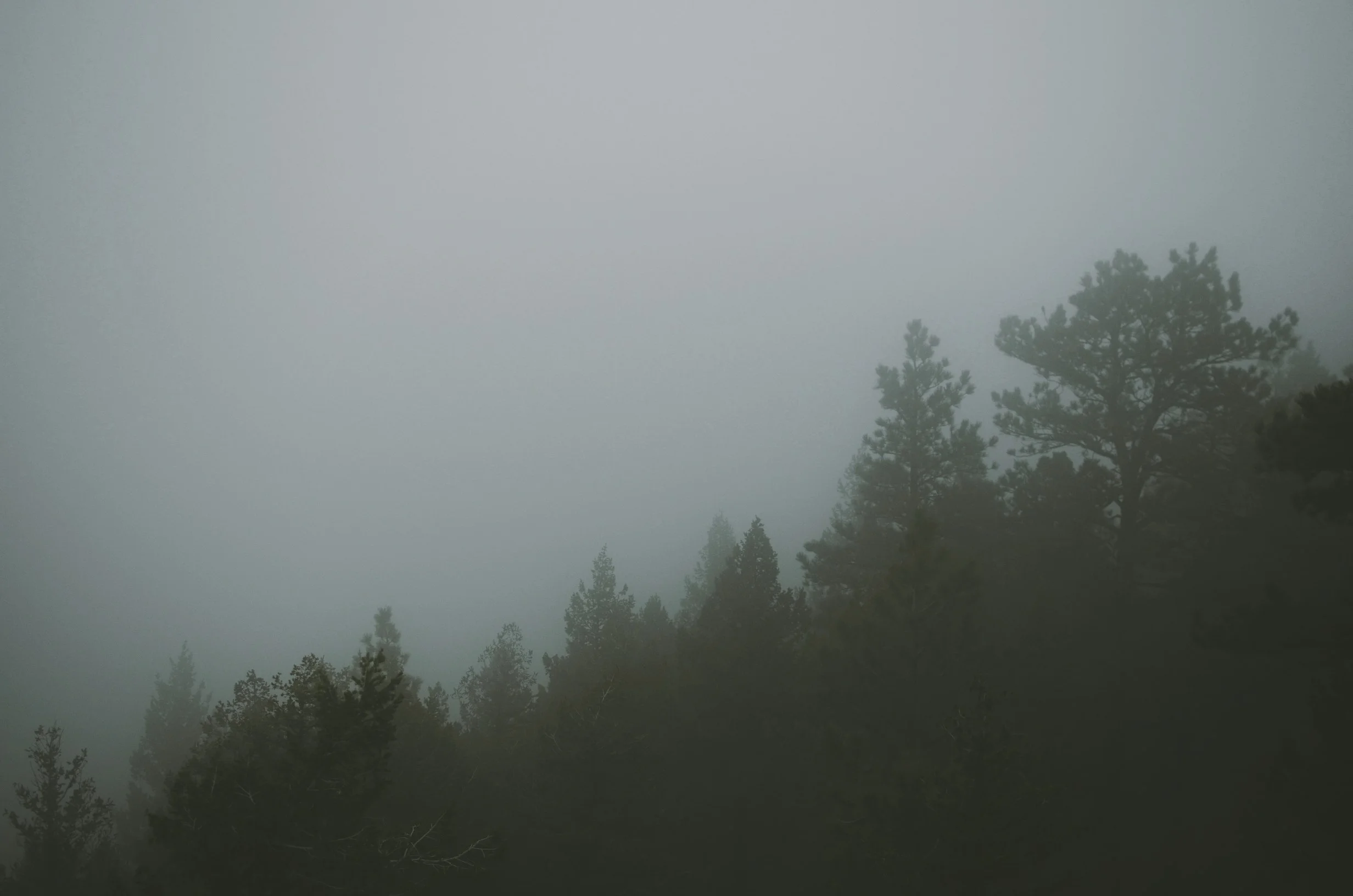 DSC_1267.jpg