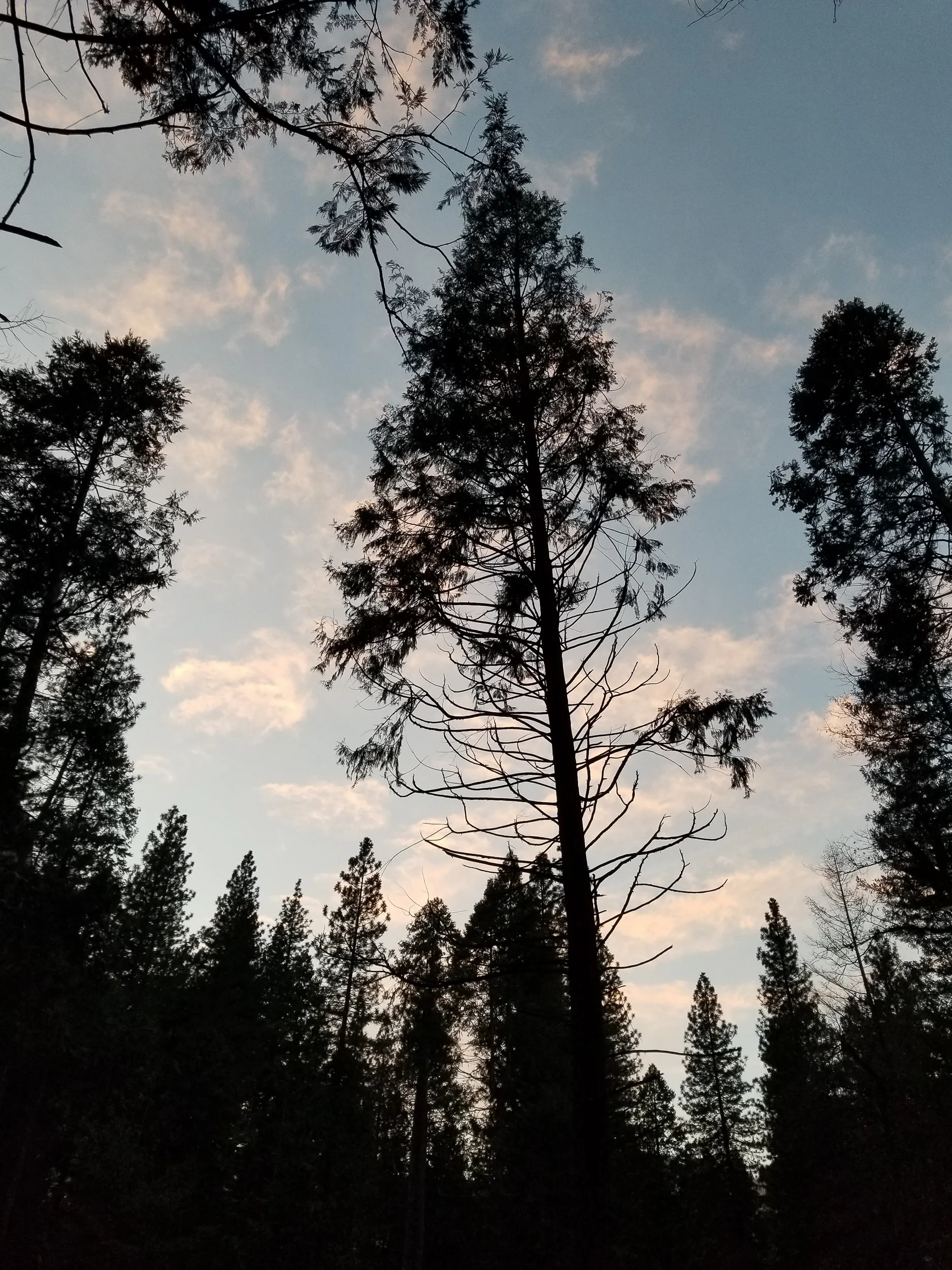 SunsetTrailhead.jpg