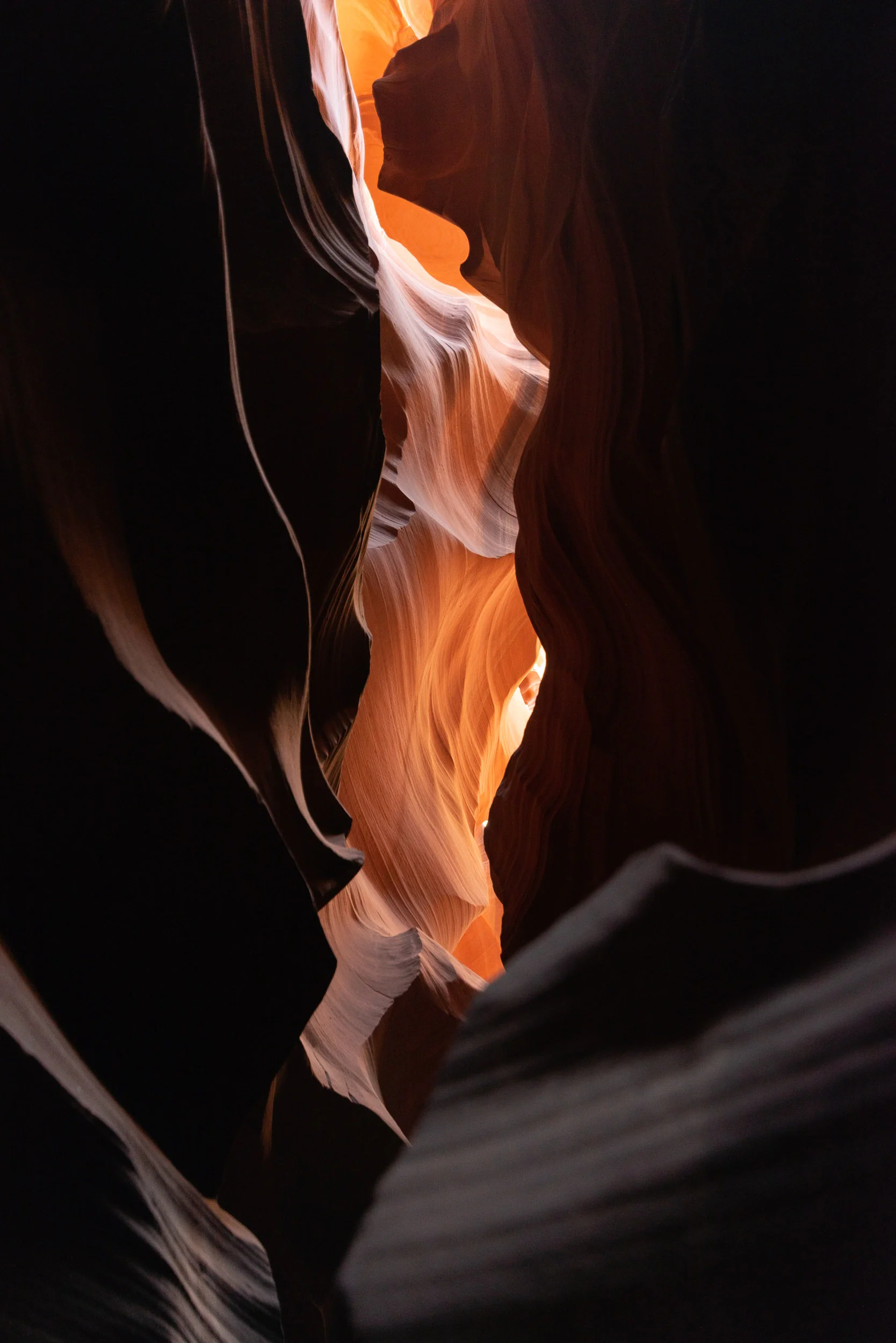 _DSC6529.jpg