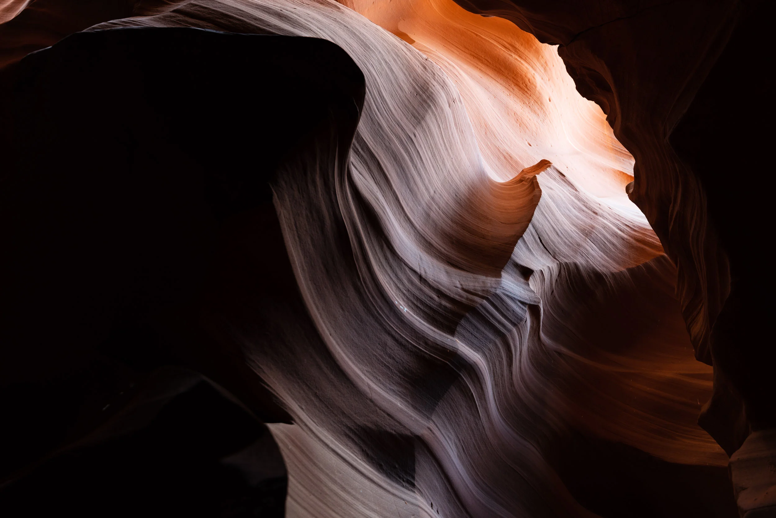 _DSC6566.jpg