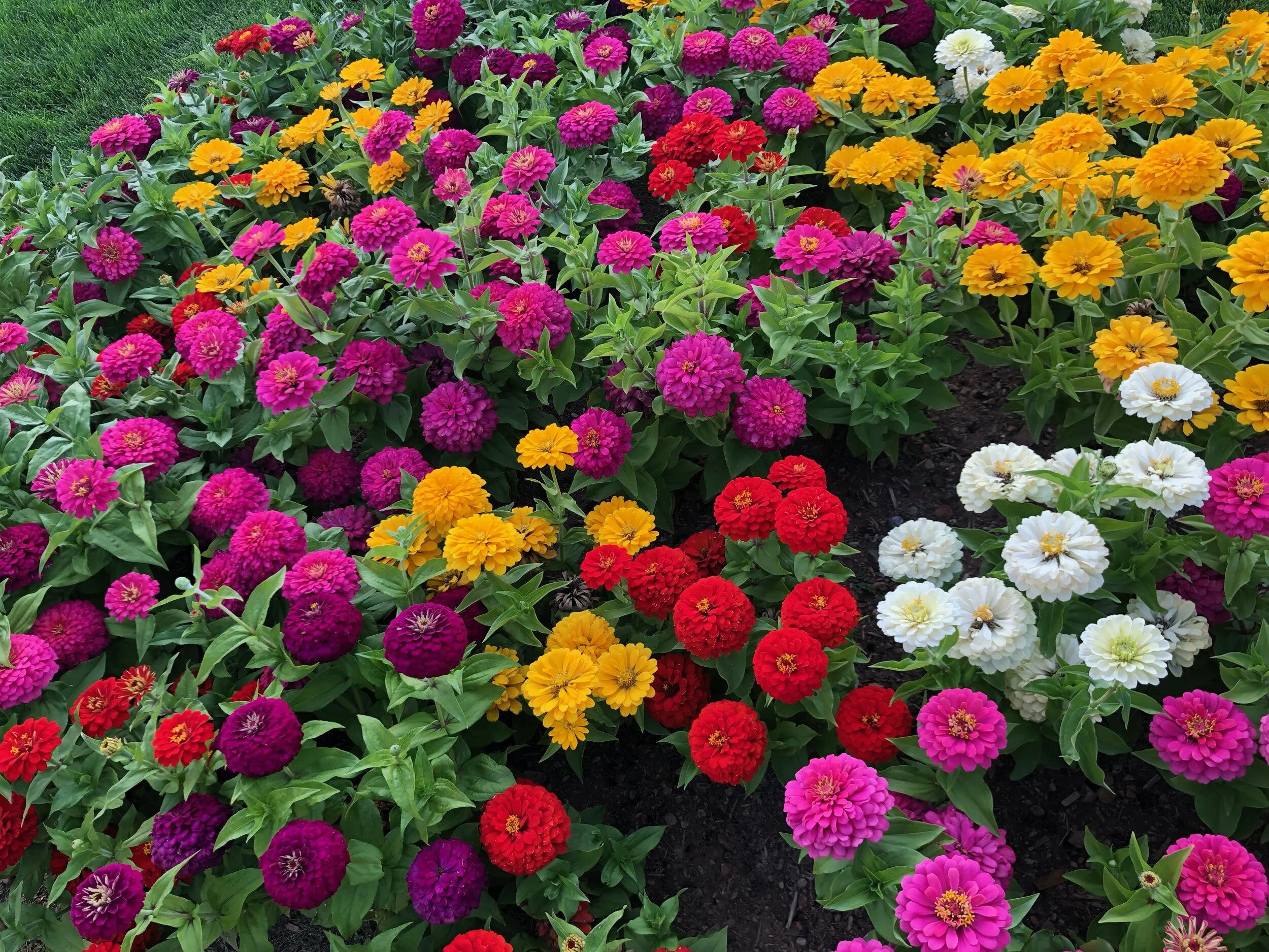 Finding LIGHT in the Grrrrr Moments of our Lives