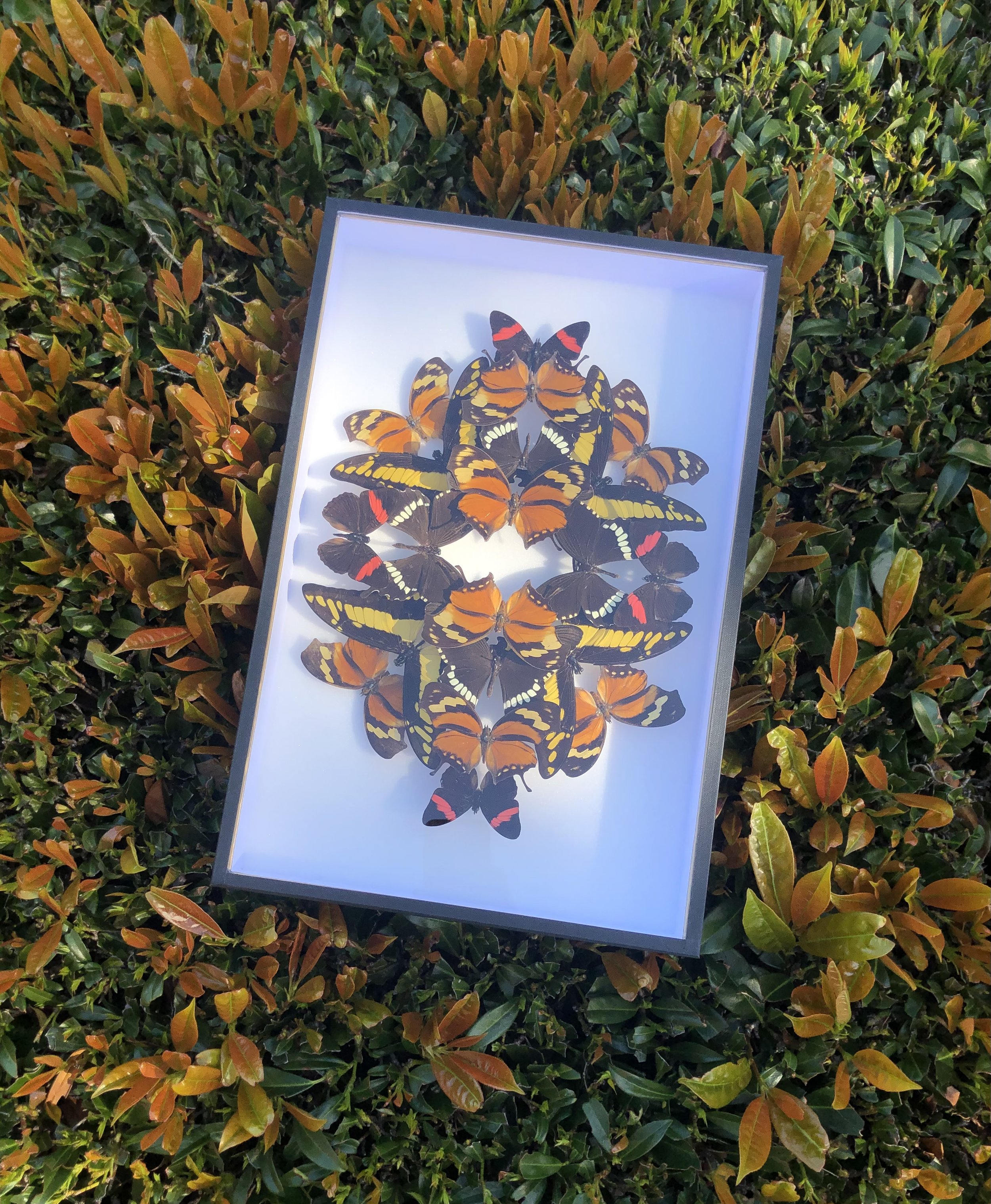 kaleidoscope.jpeg