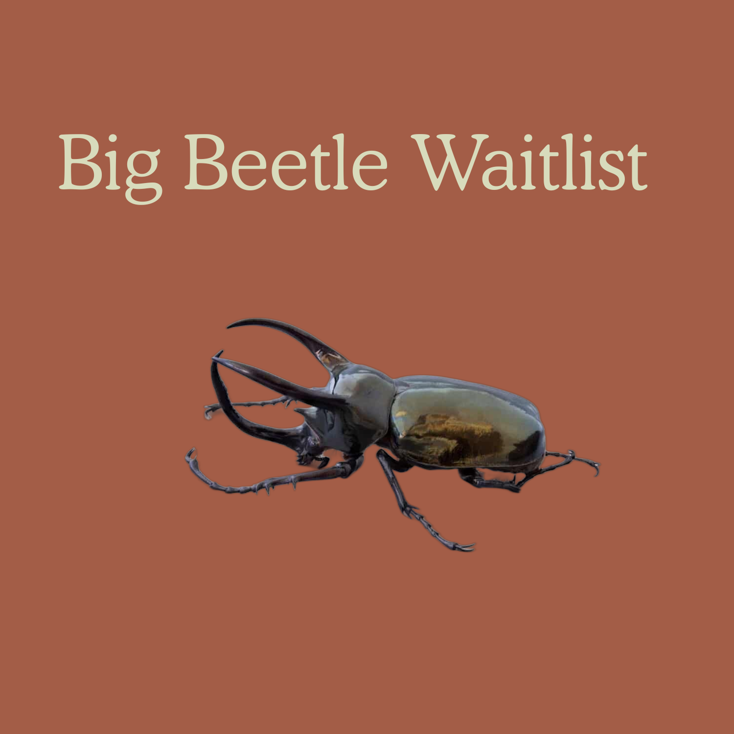 Intermediate Pheasant (11).png