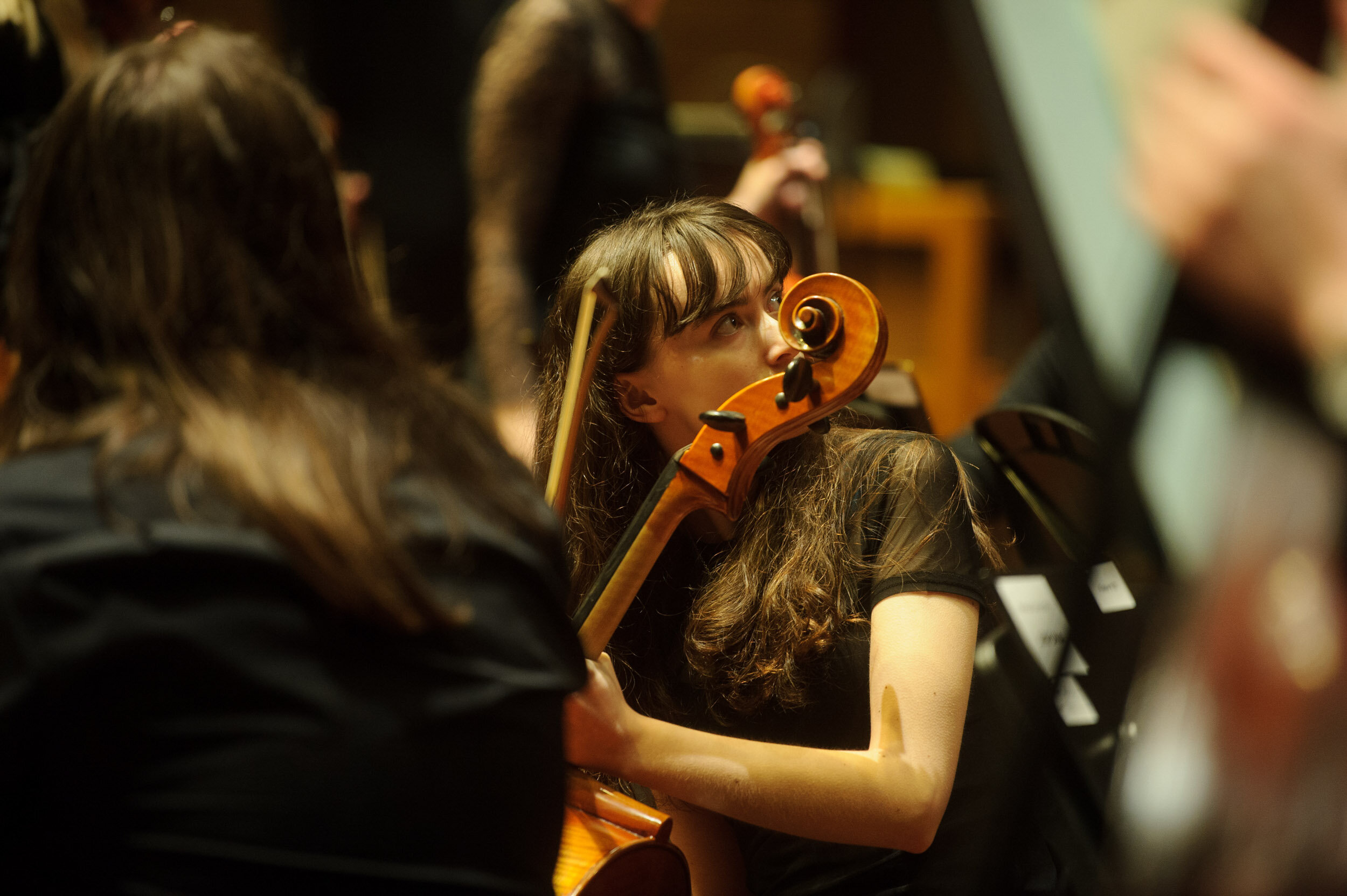  Monash University Orchestras ,  2019. 