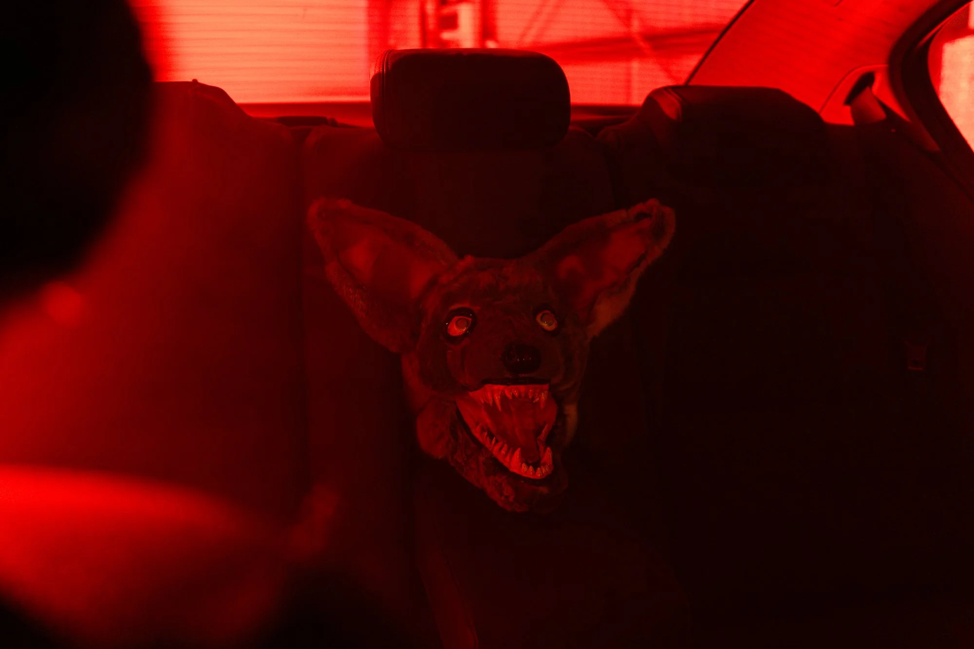 The Song of Rubber and Fur-6996.jpg