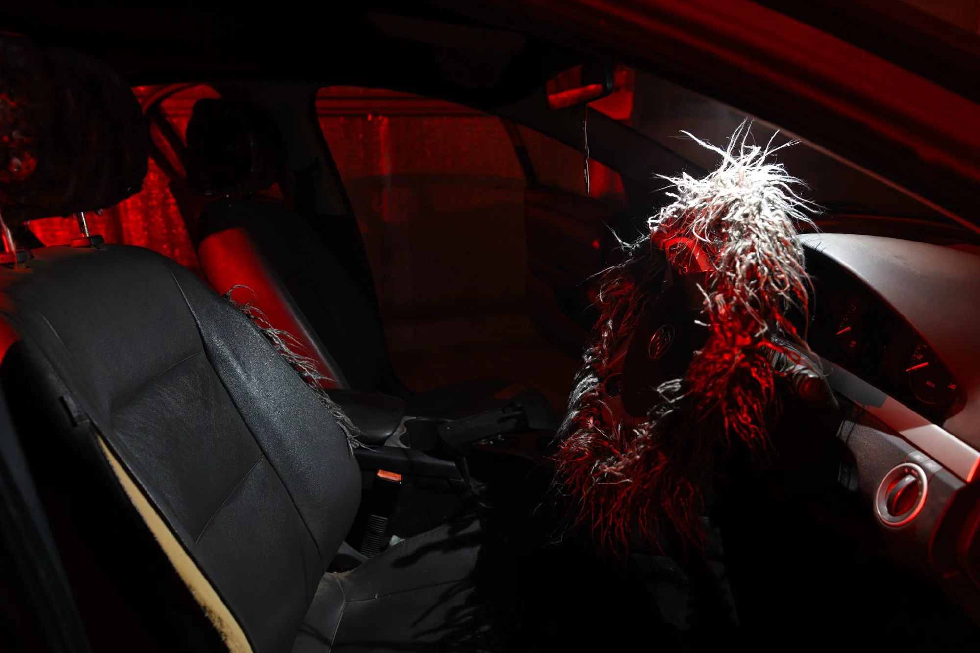 The Song of Rubber and Fur-7035.jpg