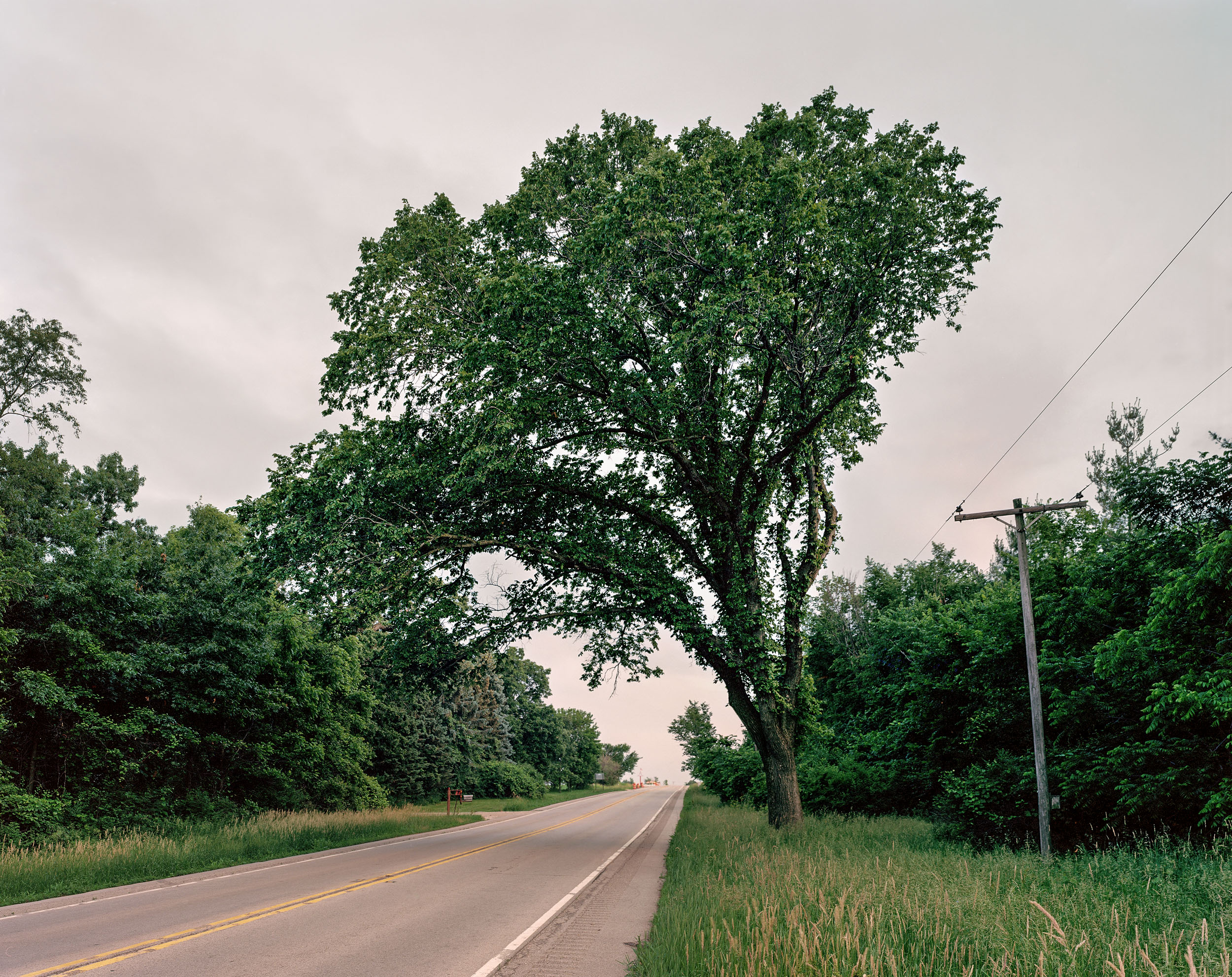 Highway Arbor, Central Illinois