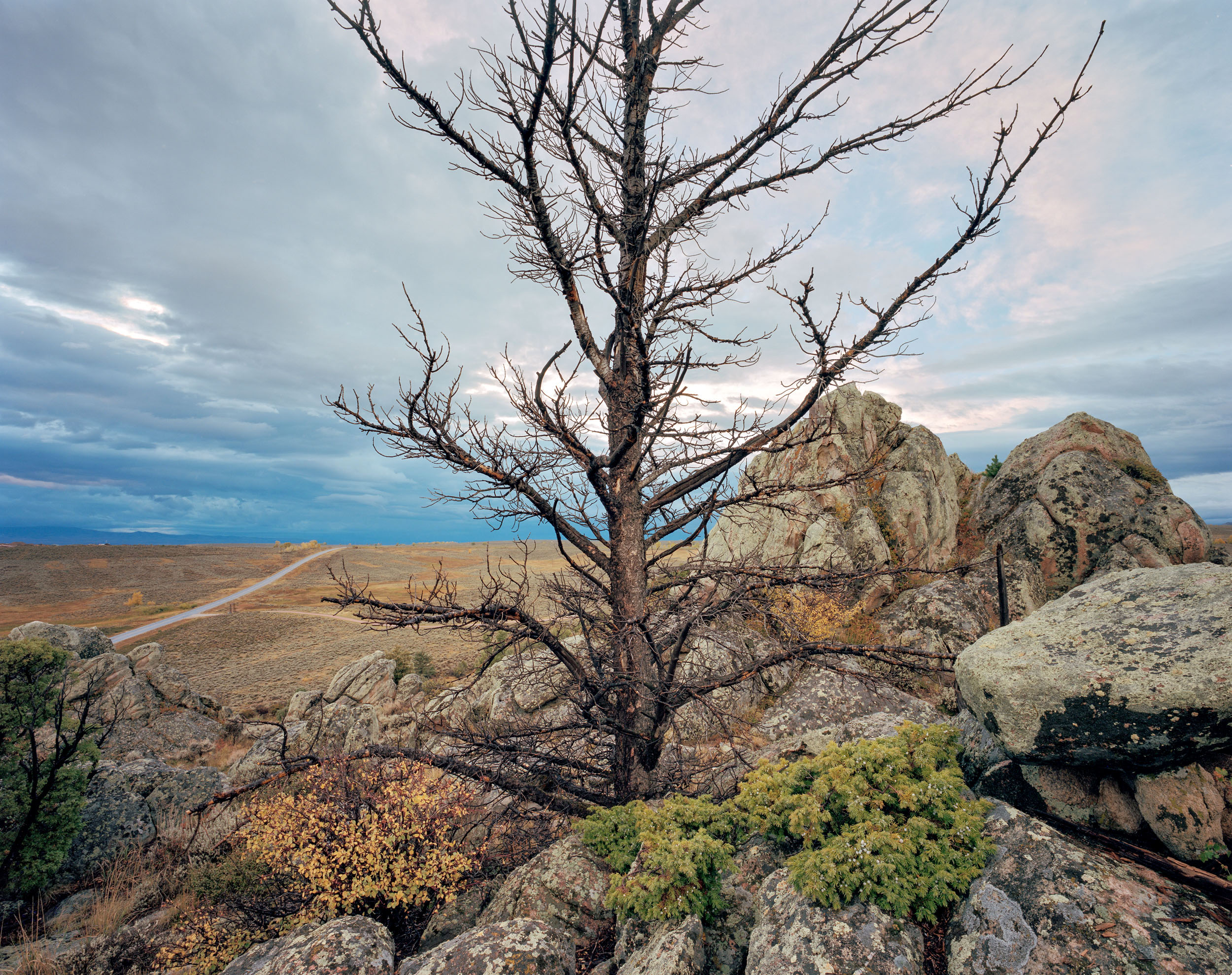 Along Snowy Range Road, Carbon County, Wyoming
