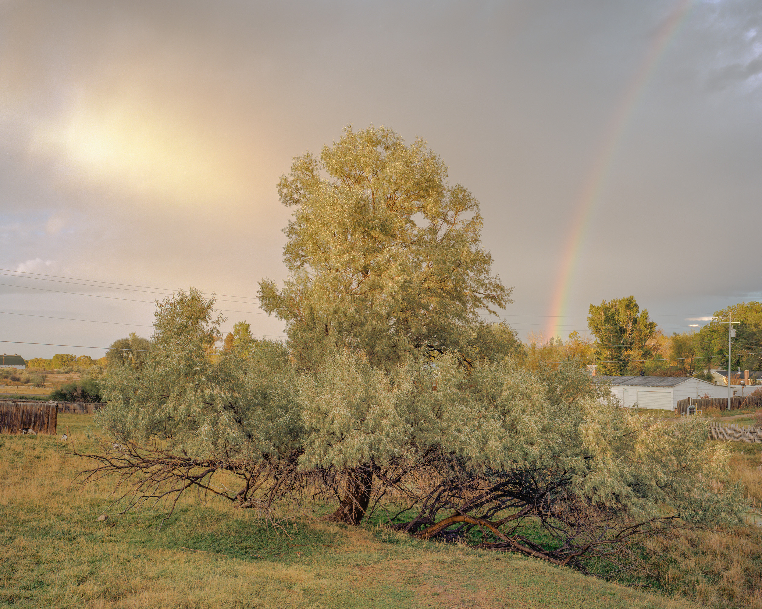 Clearing Storm, Saratoga, Wyoming