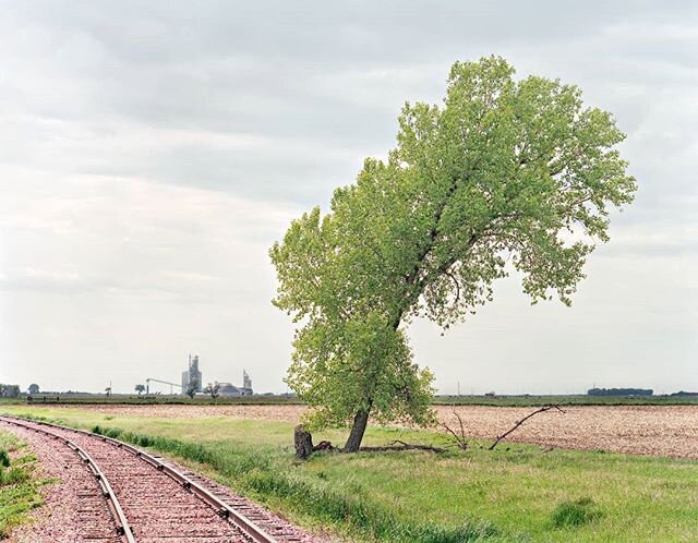 Tree,  White Lake, South Dakota (2015) from the Railroad Landscapes project

#railroadlandscapes #urbanlandscape #urbanautica #8x10film #e100g #madewithkodak #americanphotographer #americanrailroads #keepfilmalive #treesofinstagram #southdakota #grea