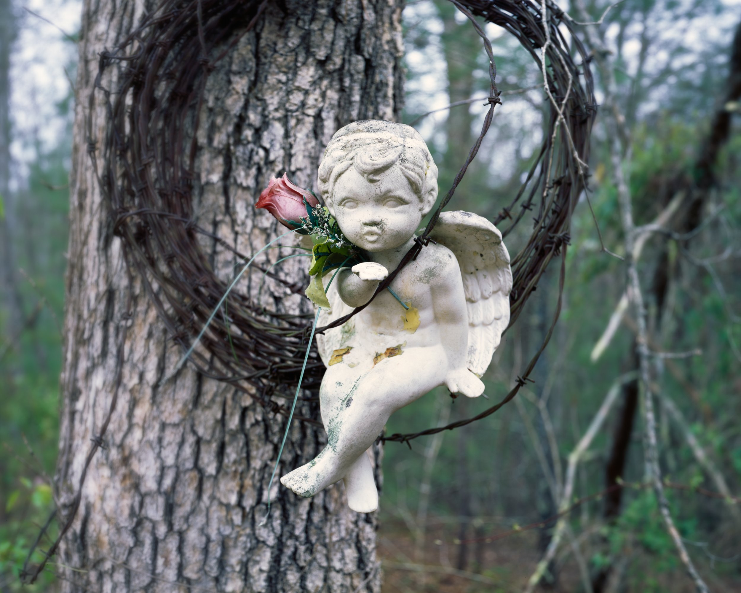 Cherub, Hart County, Kentucky