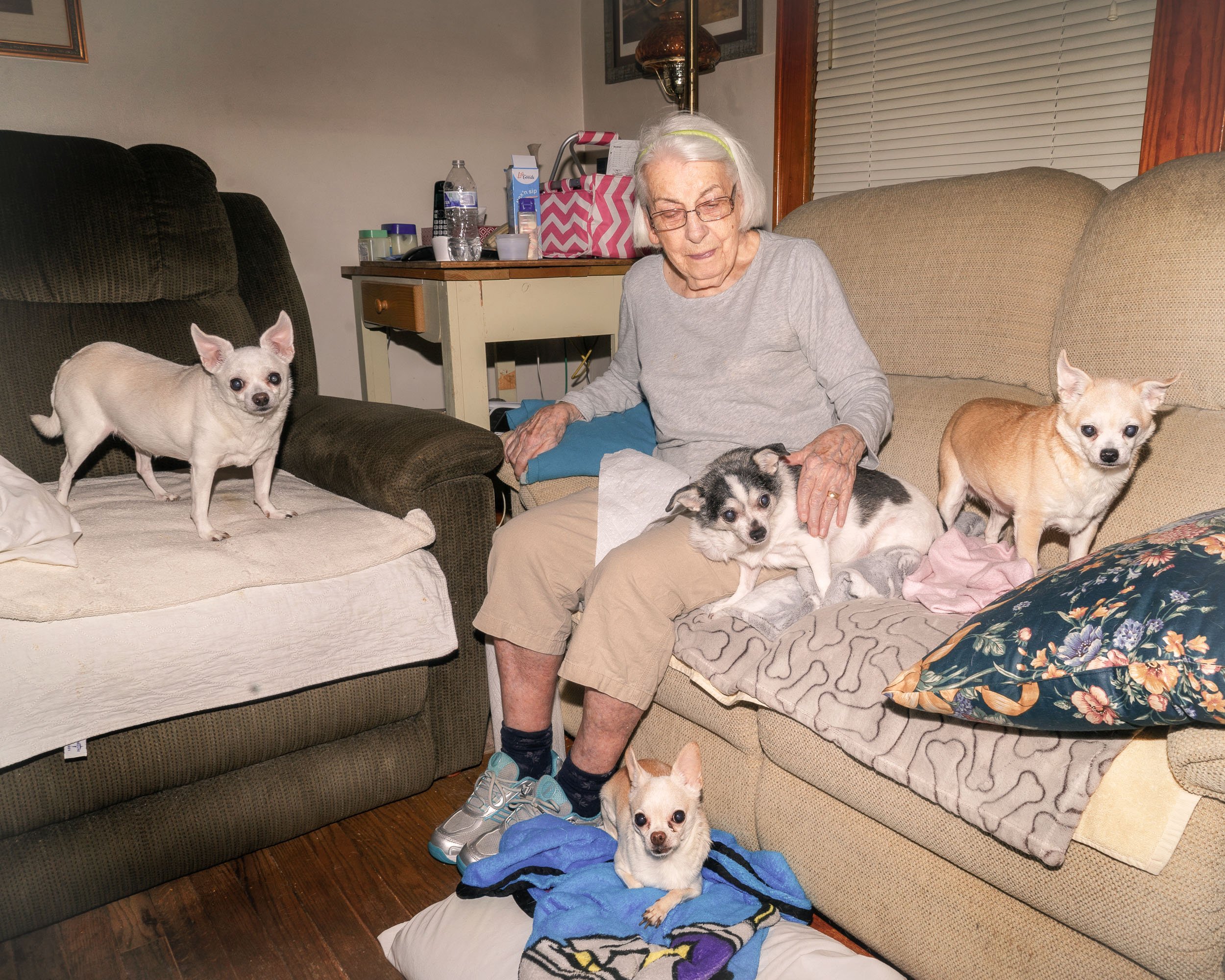 Dolores and her Chihuahuas, Breathitt County, Kentucky