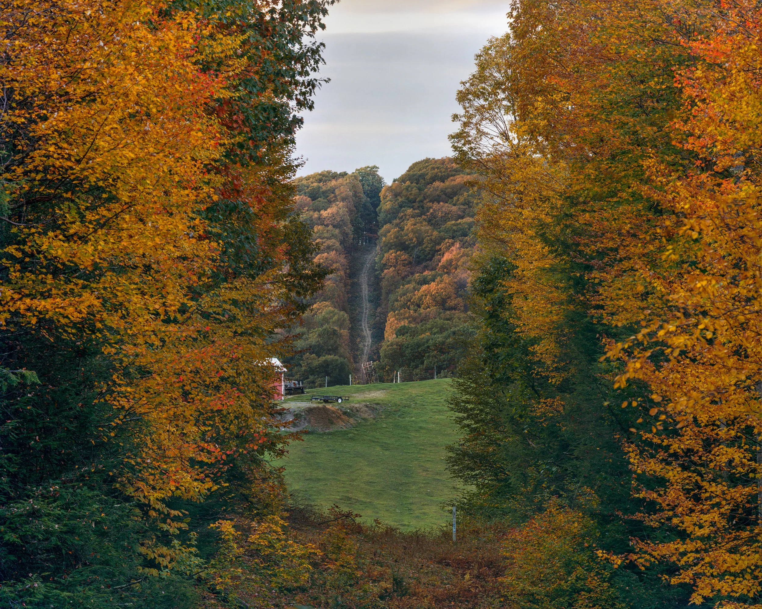 14, Pipeline Clearing, Silver Lake, West Virginia, John Sanderson.jpg