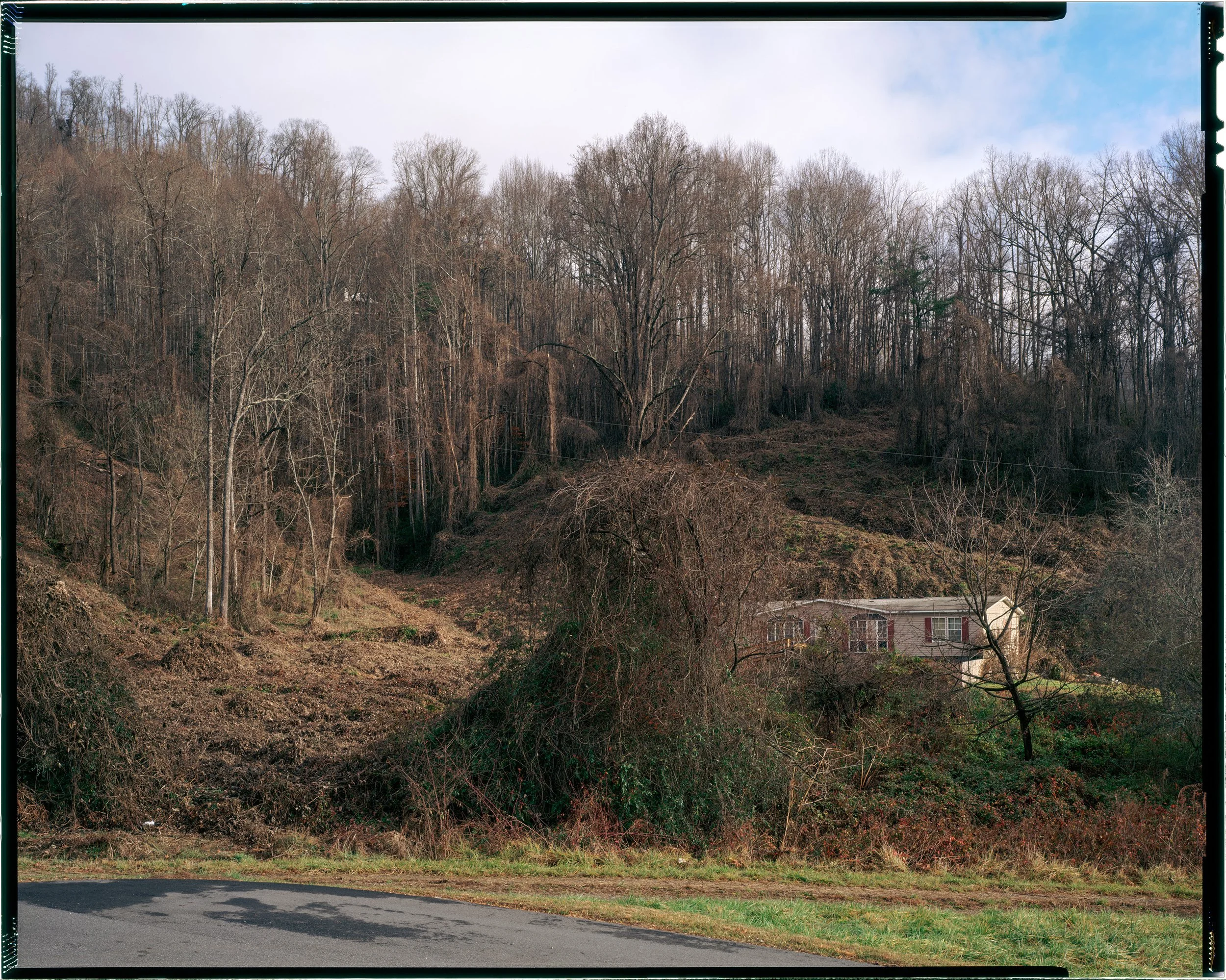 DRUMSCAN_House Among the Forest's Edge EDIT_notchcode.jpg