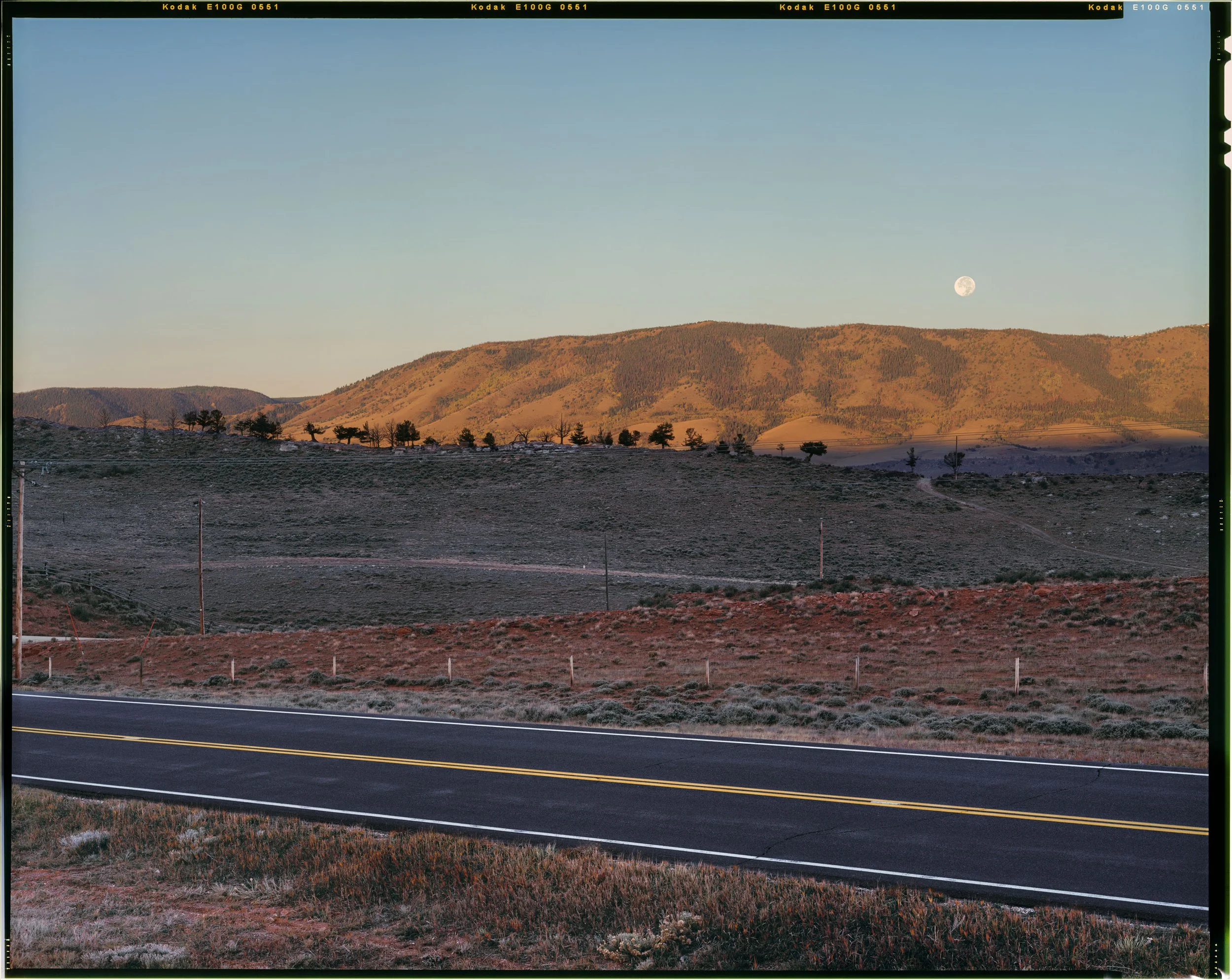 Highway Arbor, Line of Trees, Wyoming_notchcode.jpg
