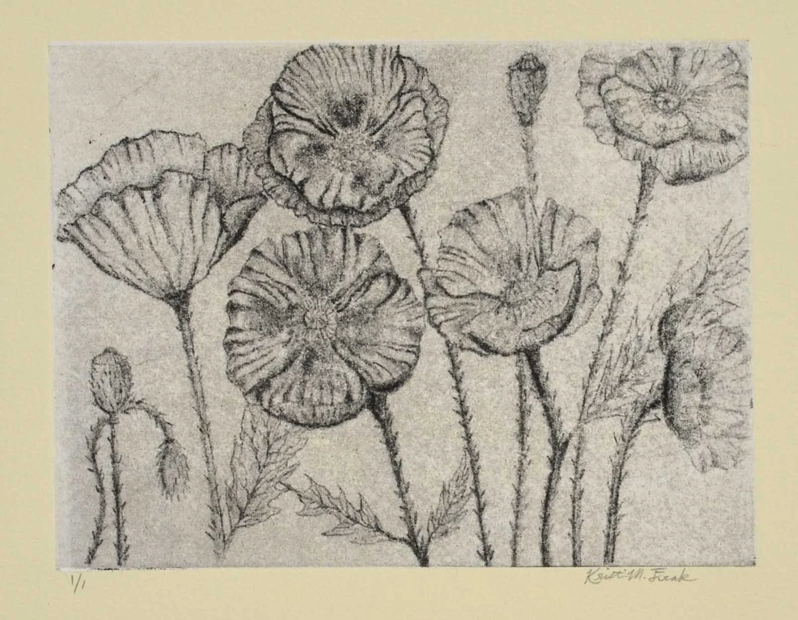 Photo of the original photogravure and chine-collé print titled "Fairy Awakening Flowers." This is plate three featuring the flowers all open.
