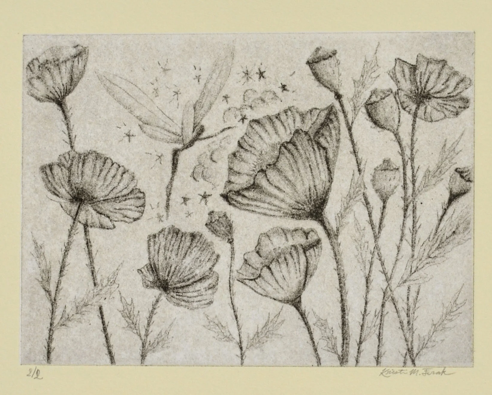 Photo of the original photogravure and chine-collé print titled "Fairy Awakening Flowers." This is plate two featuring the fairy sprinkling magic dust on the flowers.