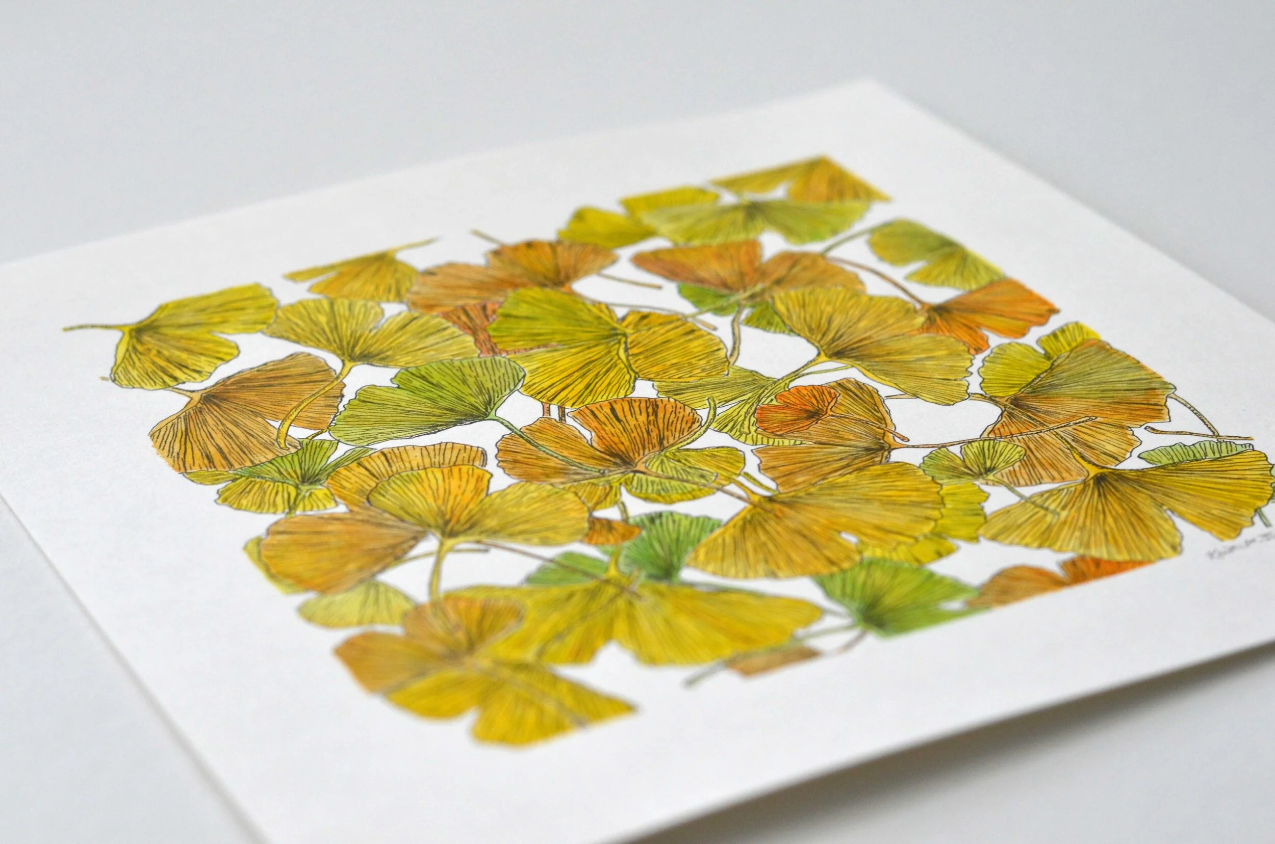 Photo of a watercolor painting of ginkgo leaves by Kristin Frank. It is titled "Ginkgo No.3."