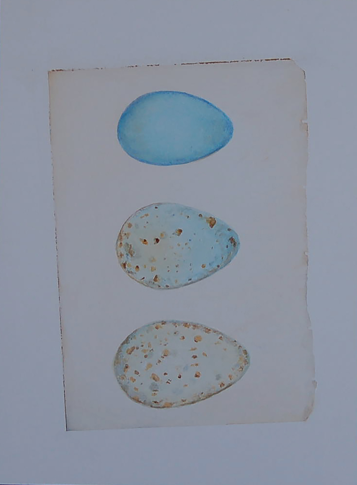 Three Speckled Eggs