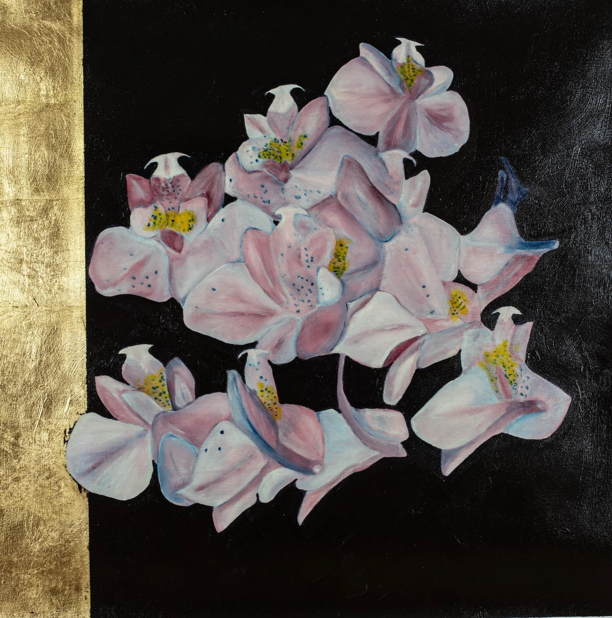 Orchid 4