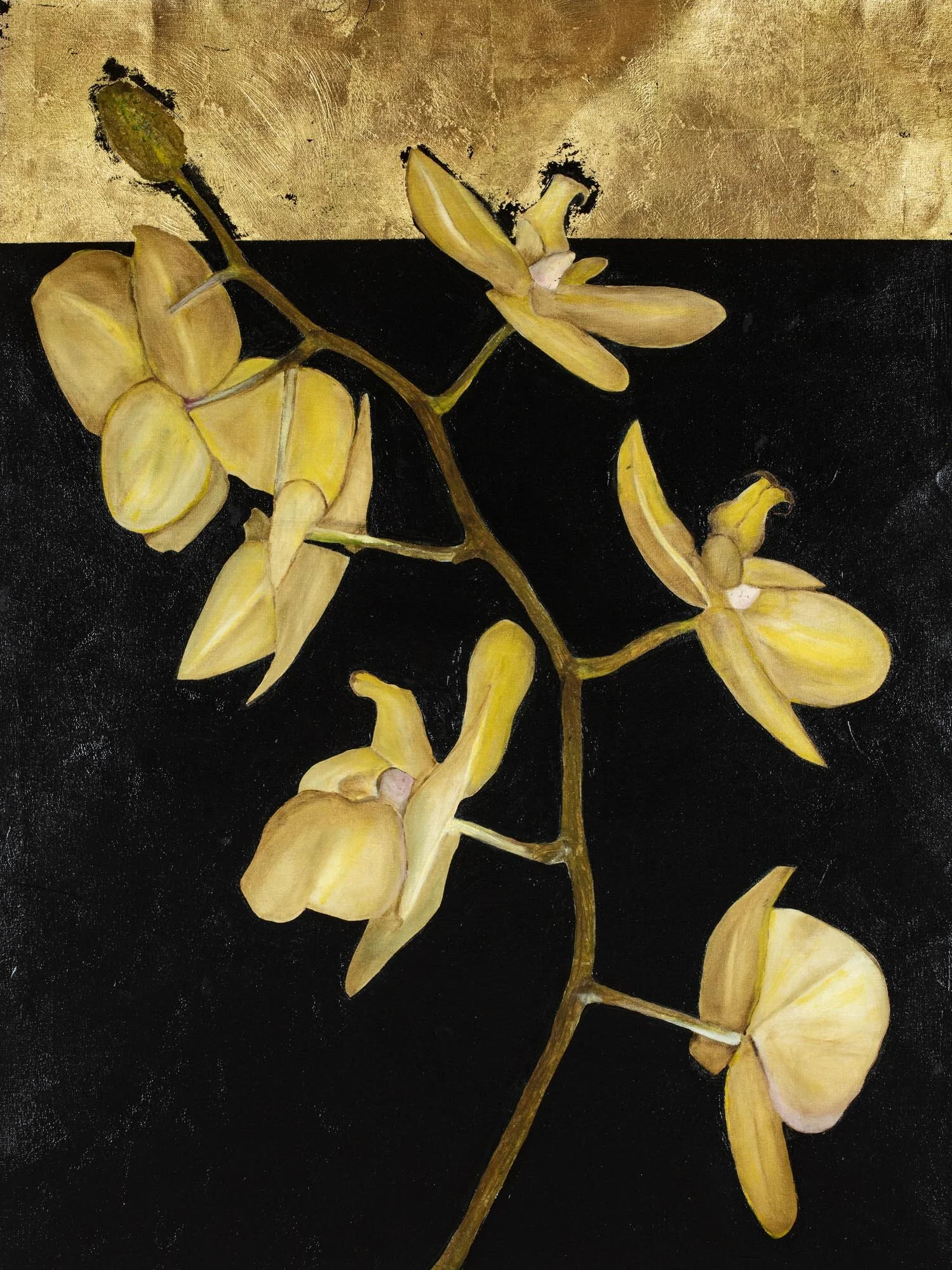 Orchid 10