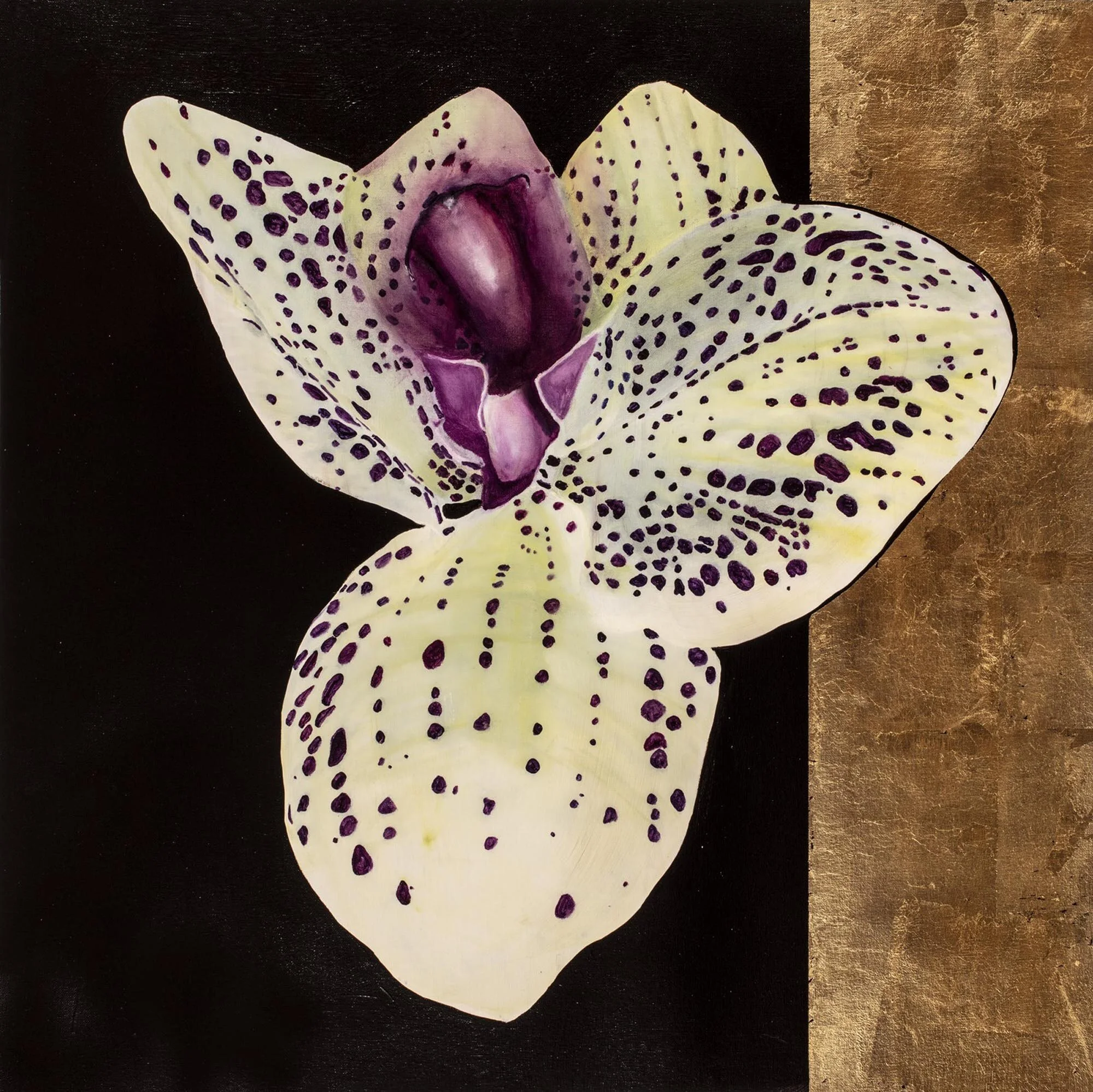Orchid 13