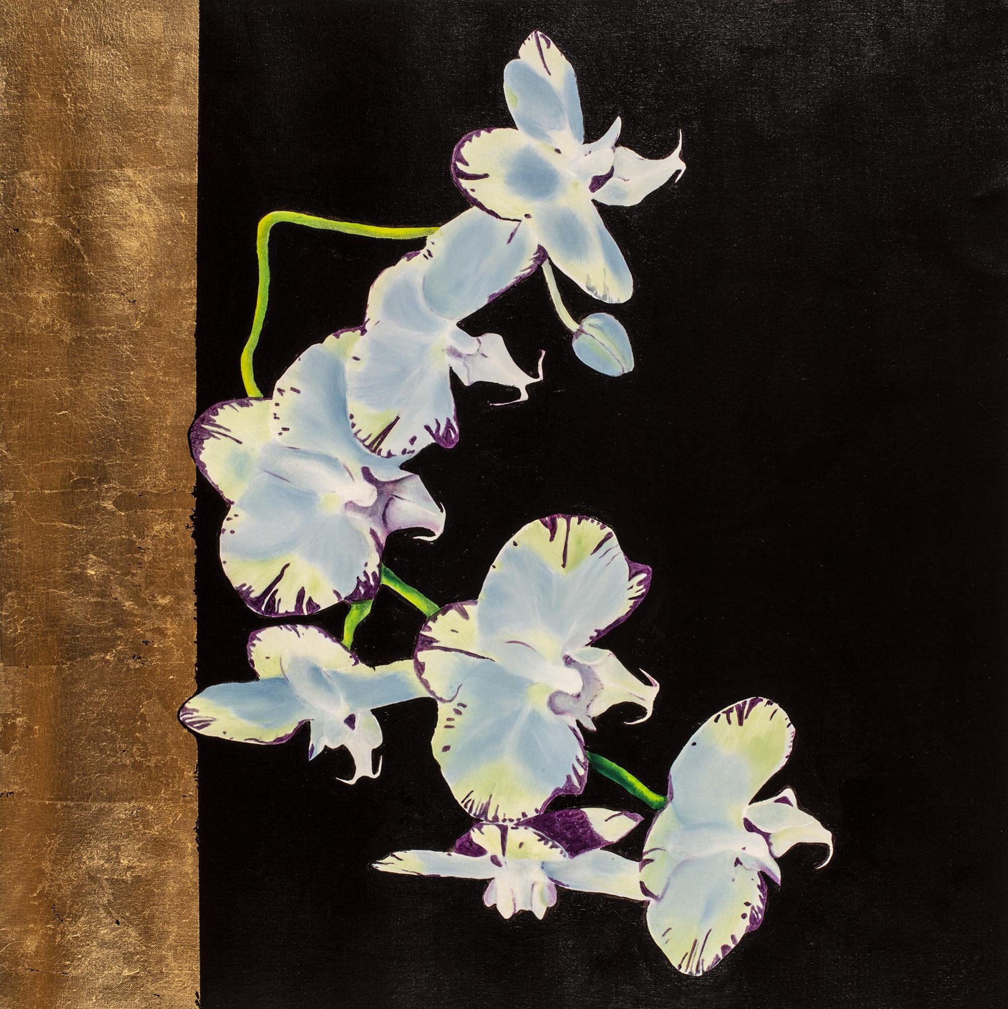 Orchid 15