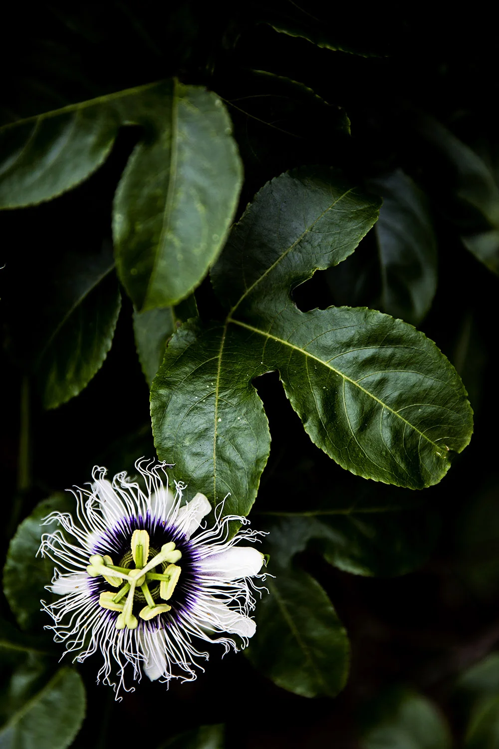 untitled-7-3.jpg