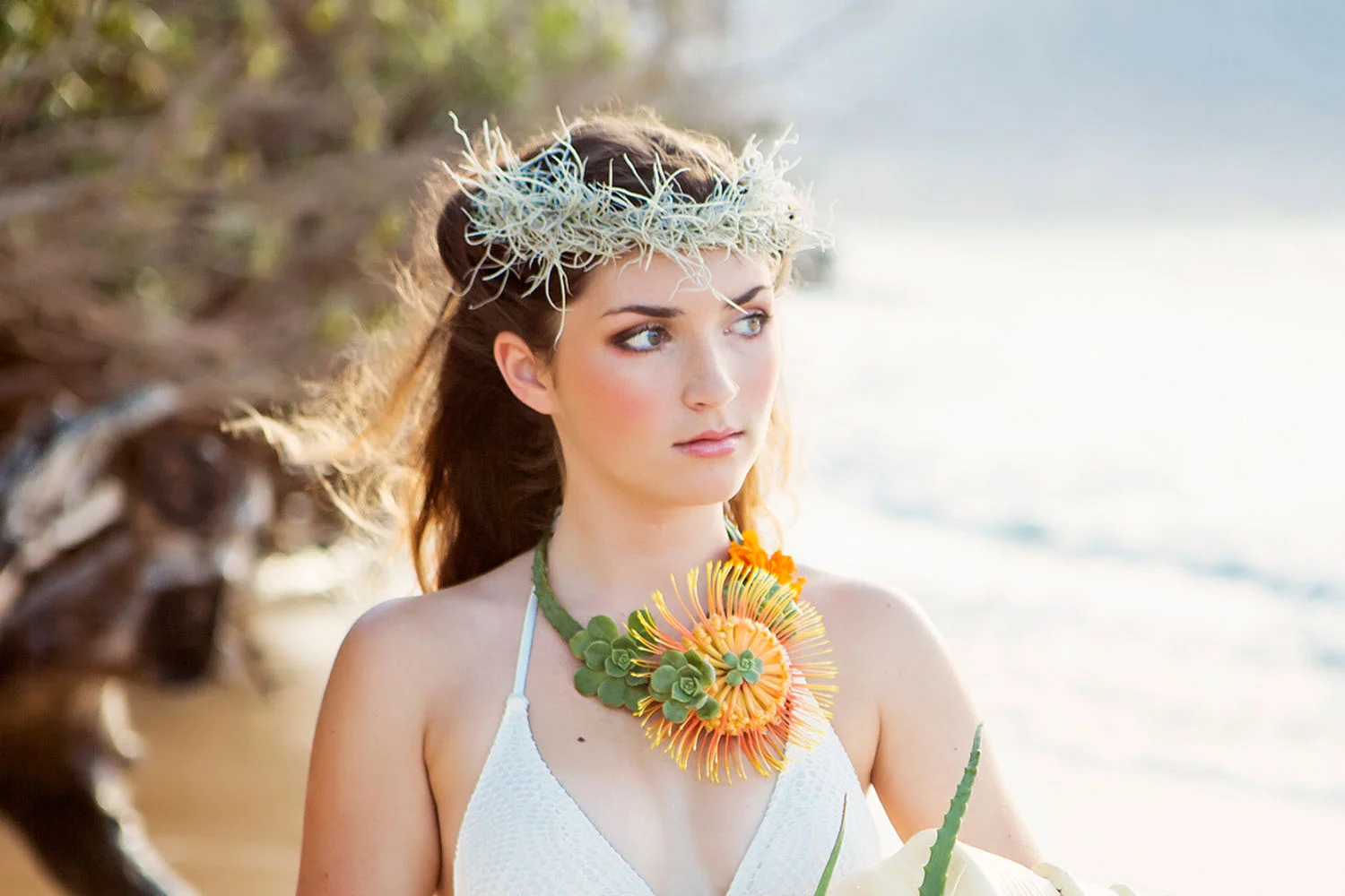 Caprice Nicole Photography