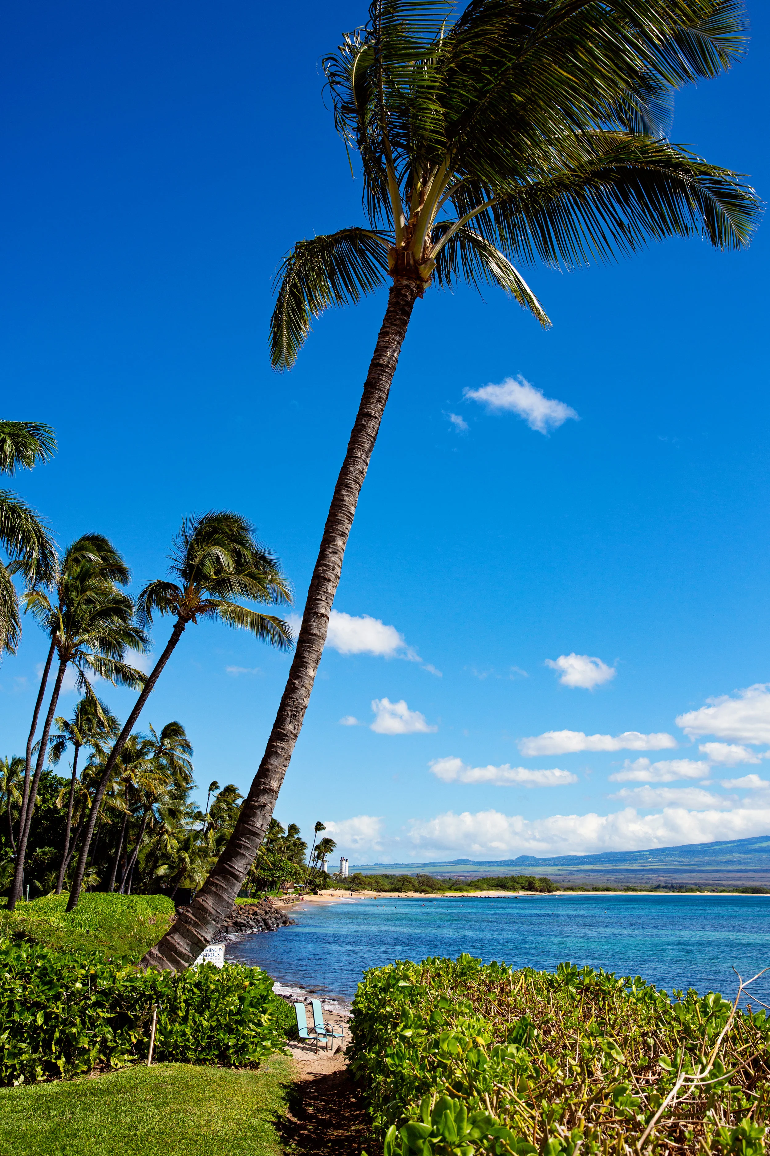 210IslandSands_35.jpg