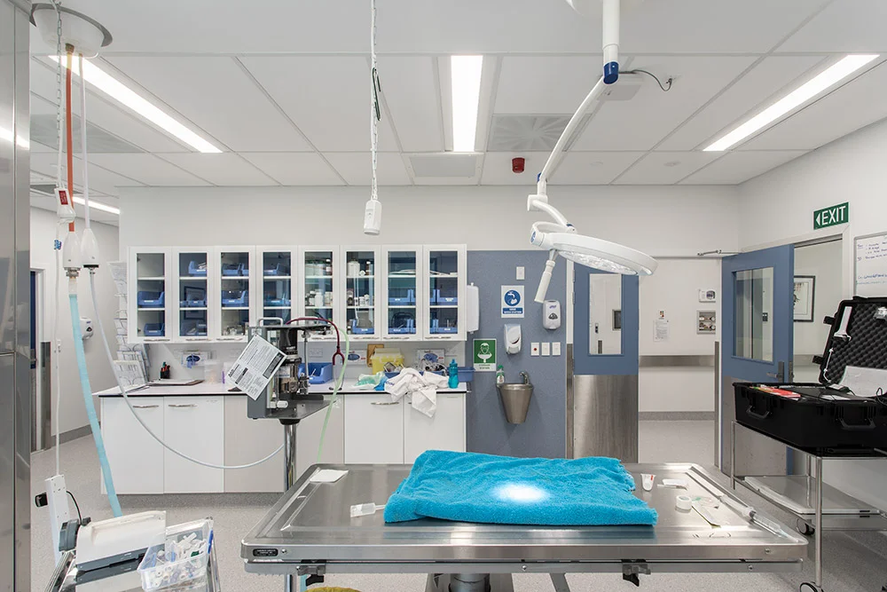 Wildbase & Administration Building