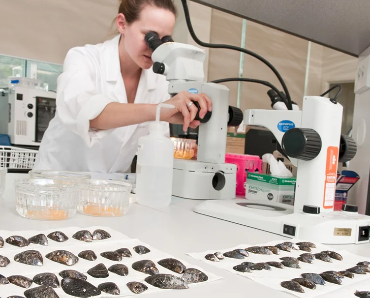 Coastal Ecology Laboratory