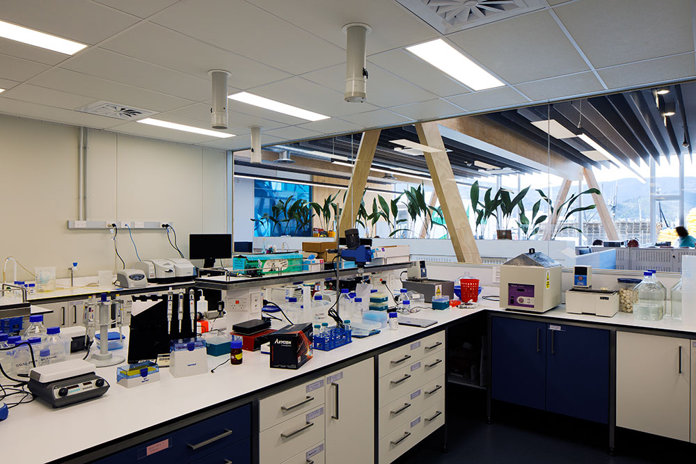 plant and food research wellington