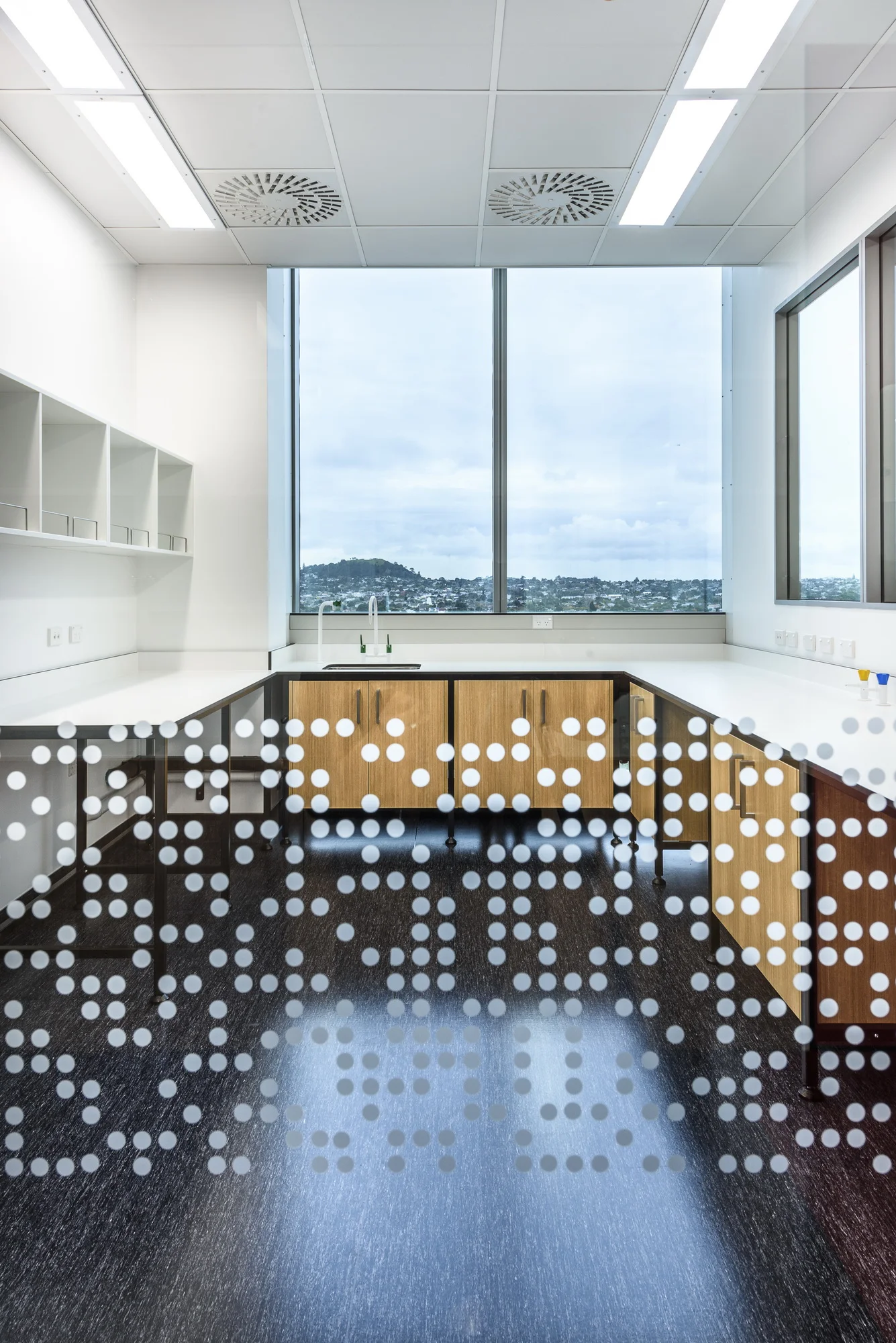 LWA_1273_PFR Auck_028.jpg