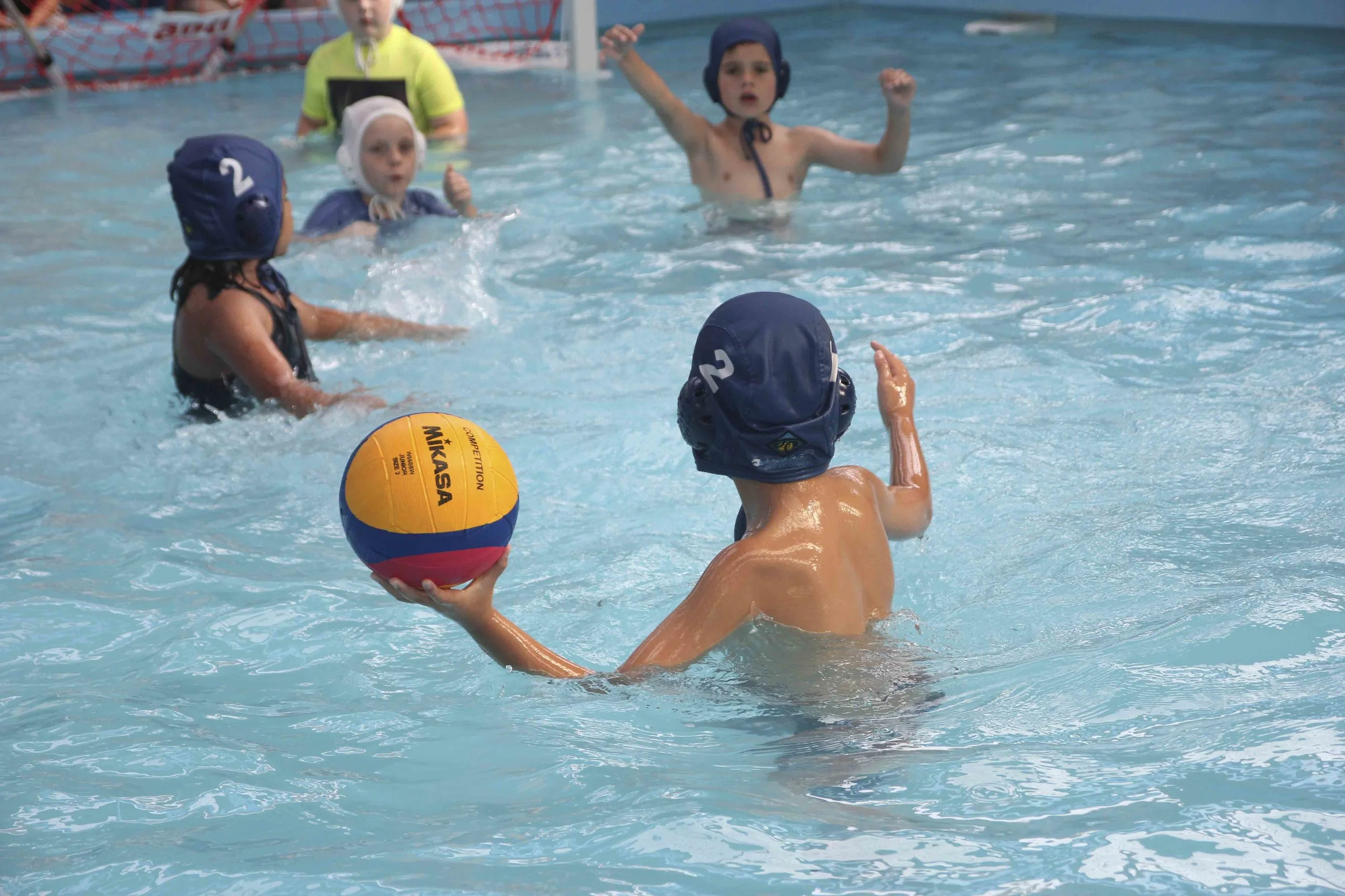 flippa-ball-league-waitakere-water-polo