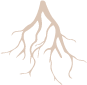 Blush Nude Roots.png