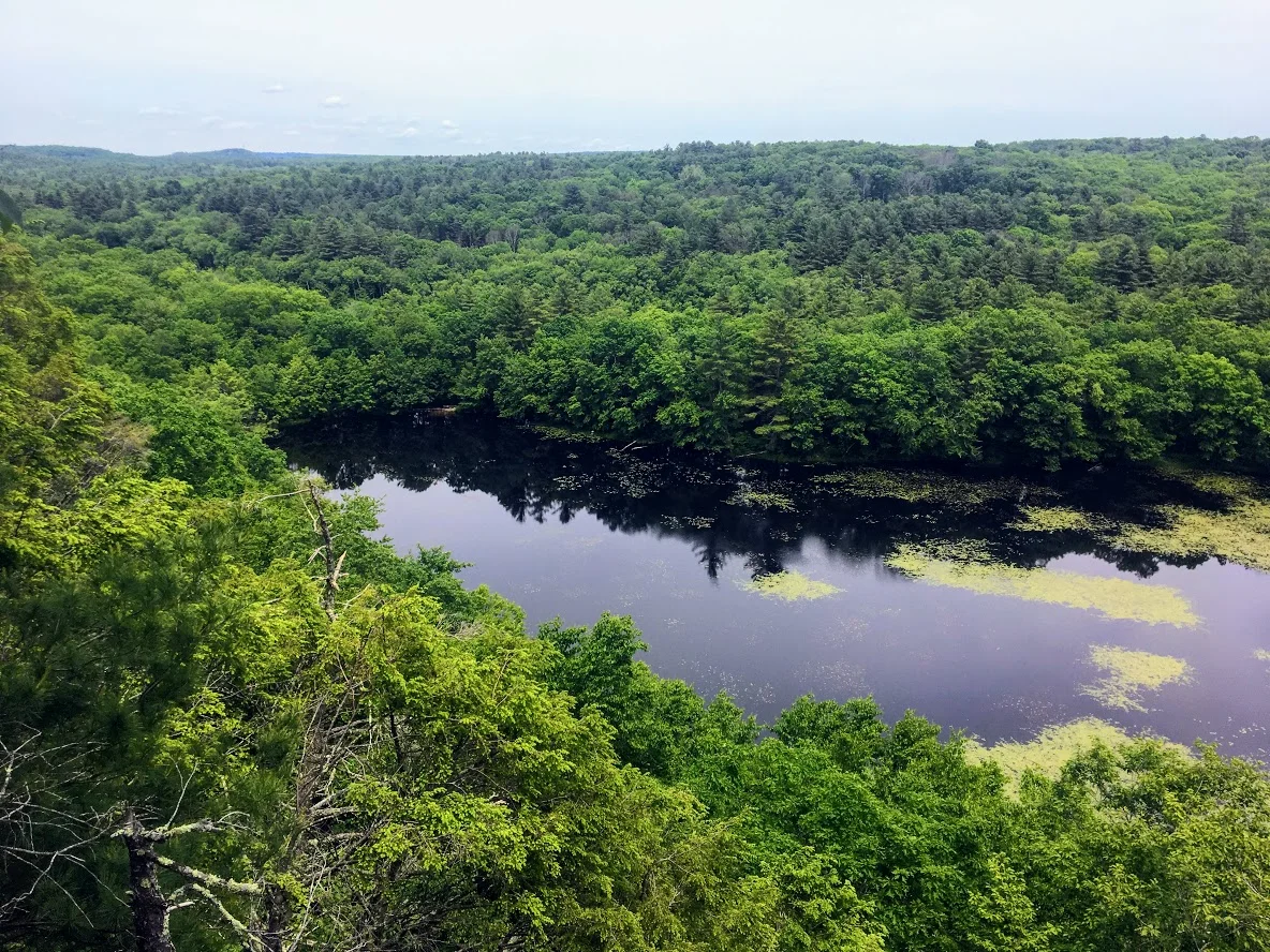 Old Furnace State Park, Killingly, CT