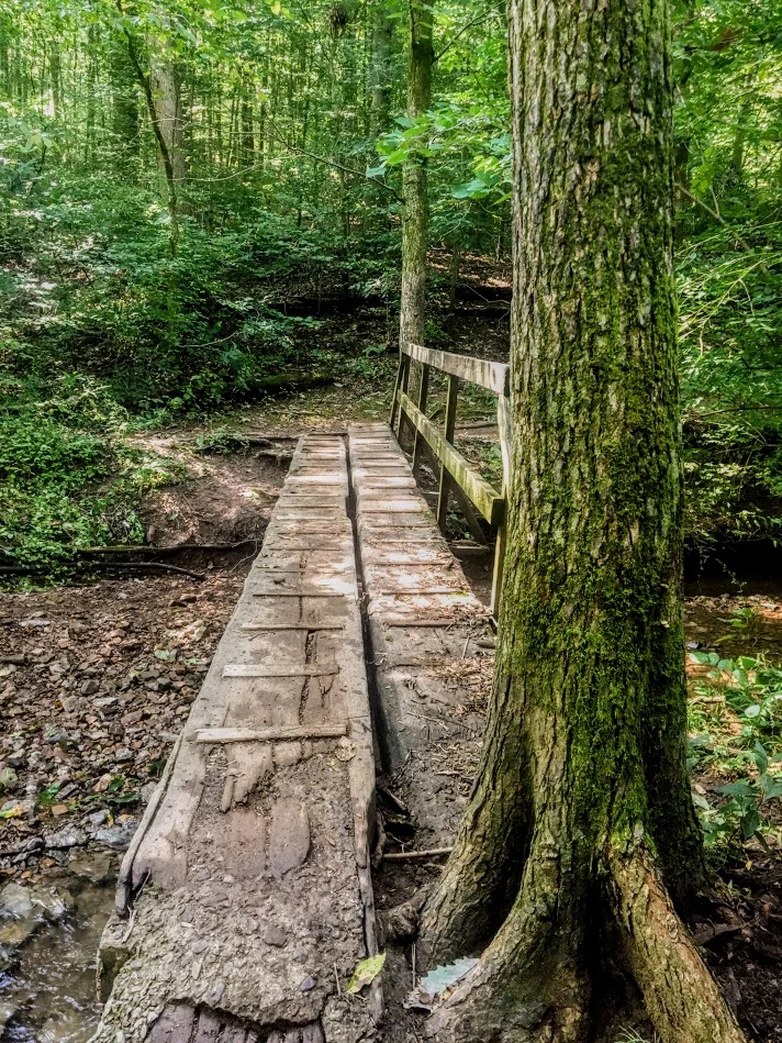 Honky Tonk Hiking in Nashville, TN!