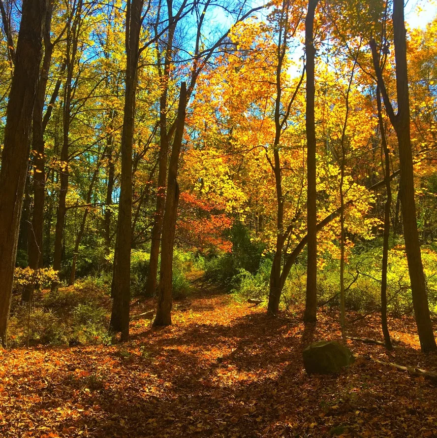 Mine Hill Preserve Trail, Roxbury, CT
