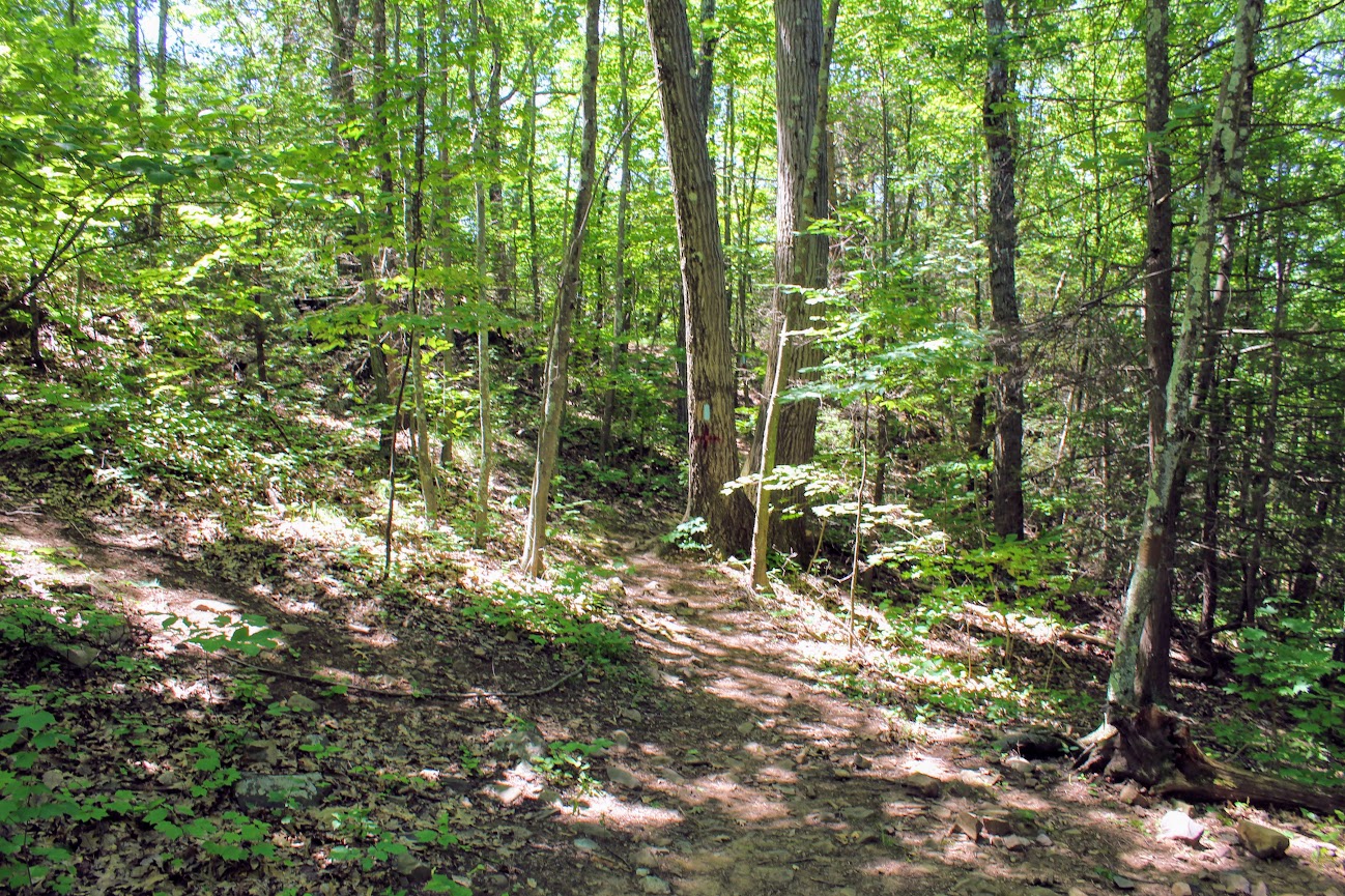 Leads to the Pinnacle Rock summit