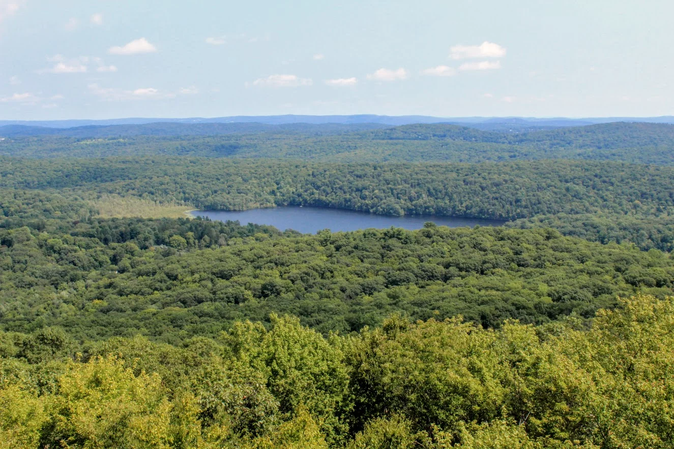 Ninham Mountain Fire Tower Hike