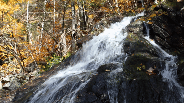 ezgif.com-video-to-gif.gif