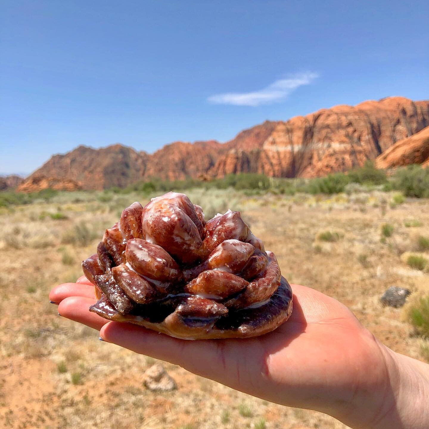 Donuts in the wild edition.⁣
⁣⁣
⁣Donuts present by @daylight.donuts.stg. First off, New England shops need to steal this pine cone shaped cinnamon bun idea. Second, this bear claw was no average bear claw. This guy was filled with raspberry and chees