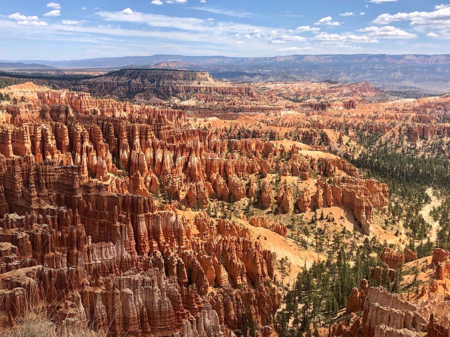 First timer at Bryce Canyon National Park. Amazing landscape. Felt like I was in another planet. How does this even exist?!?!? #hoodoo