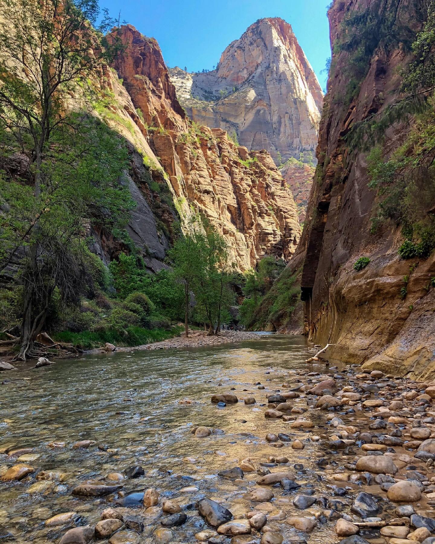 The Narrows. Bucket list hike ✔️