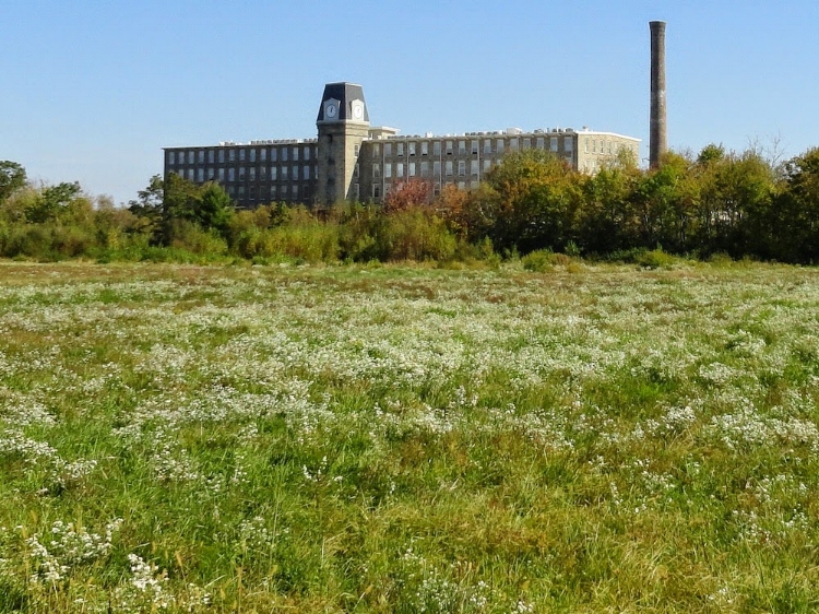 from the Grandstand in the background of the stradium Mill.jpg