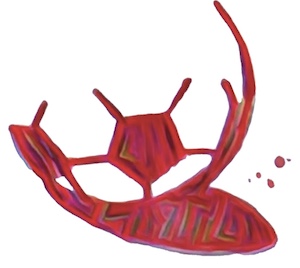 image1.jpeg
