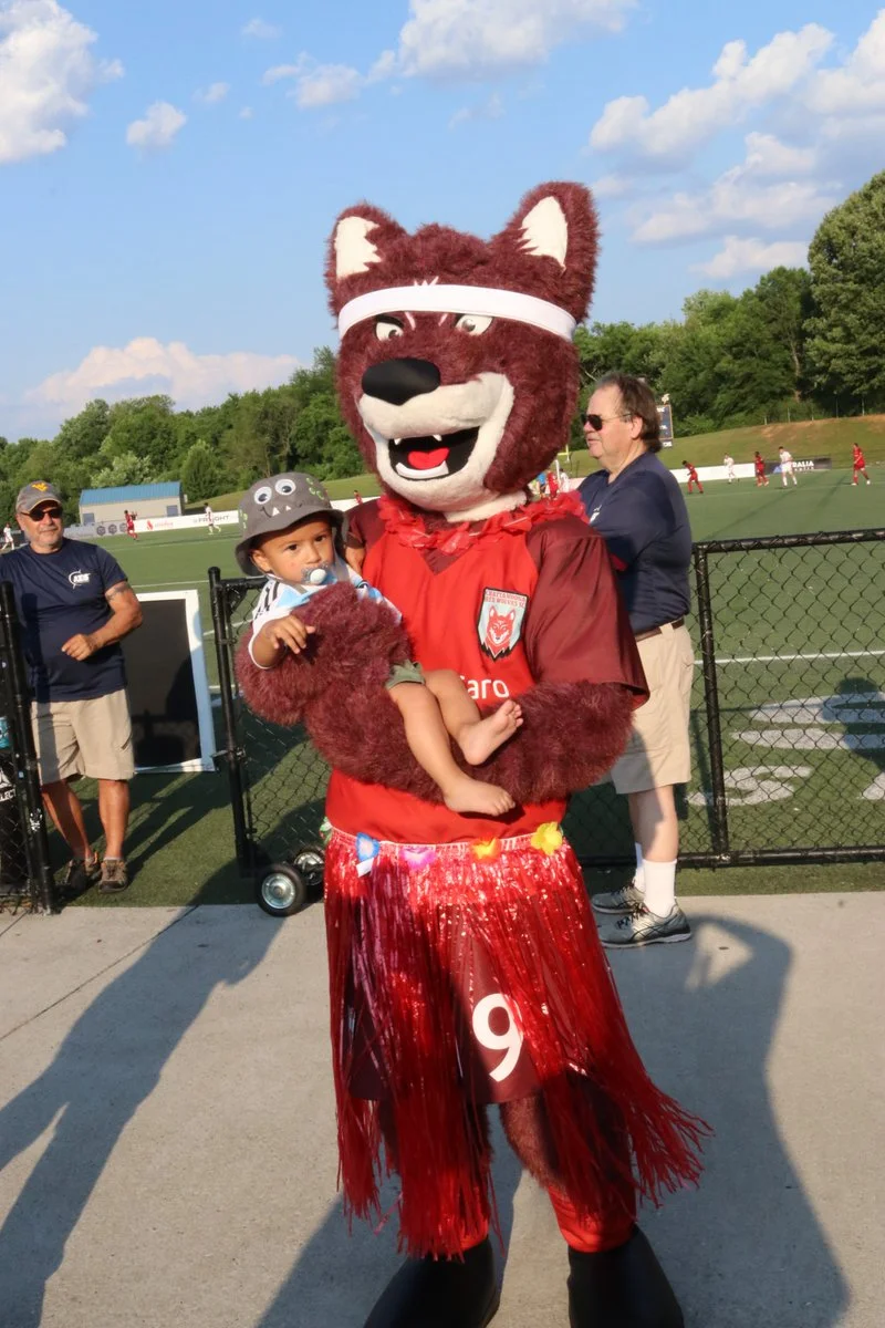 Not sure if this helps or hurts. Image courtesy of Red Wolves Twitter .