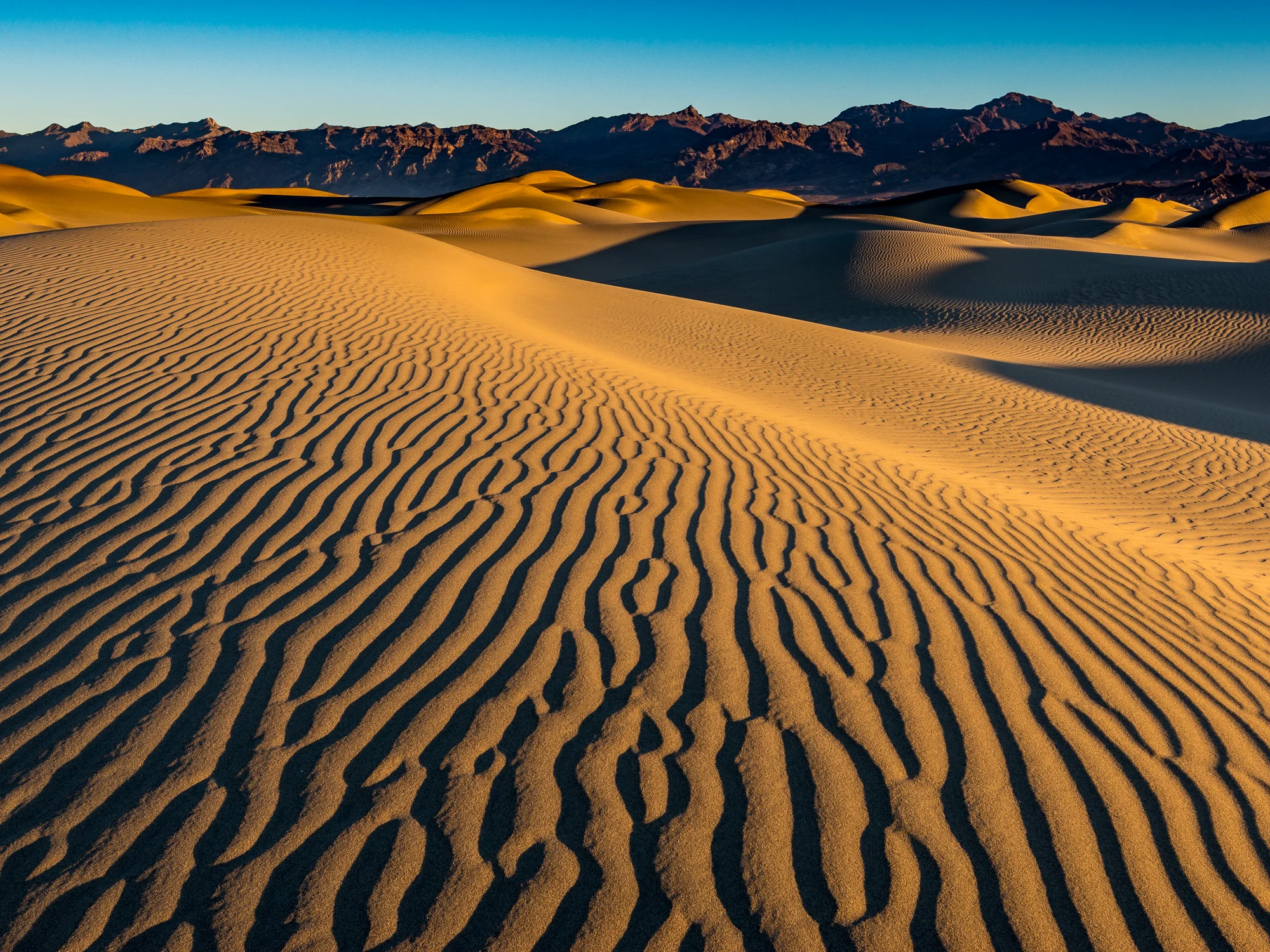Untouchable | Death Valley National Park, California