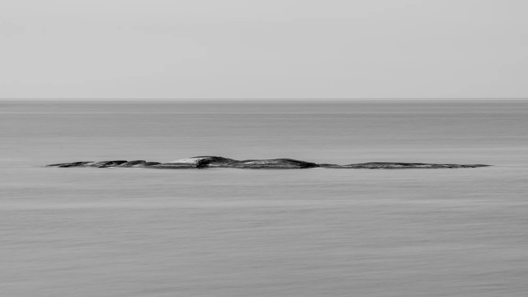 Deluge | Philip Edward Island, Ontario